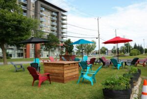 VIDÉO – Débordement de chats : la SPCA Roussillon lance un cri du cœur