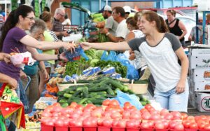 Les matières organiques gagnent en valeur