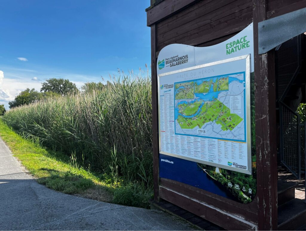 Les maires en désaccord : Châteauguay obligée d’approvisionner Léry en eau ?