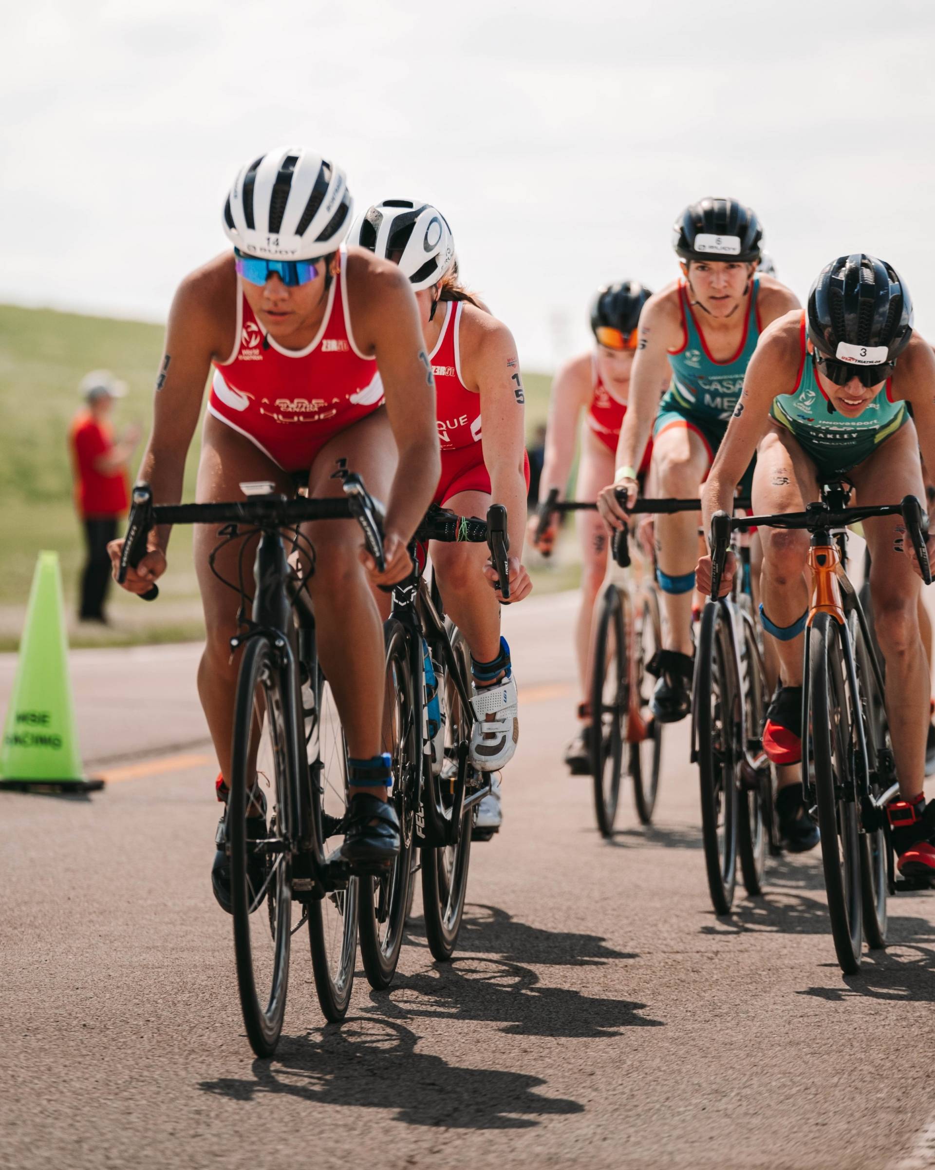 Bear, la vedette de la semaine