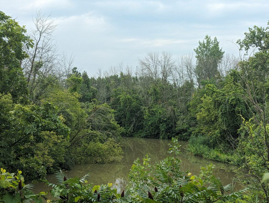 Concours Chapeau, les filles! : une élève en charpentier-menuiserie reçoit une bourse