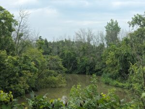 Concours Chapeau, les filles! : une élève en charpentier-menuiserie reçoit une bourse