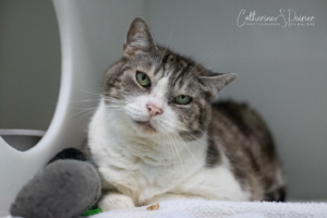 Winky, la vedette de la semaine