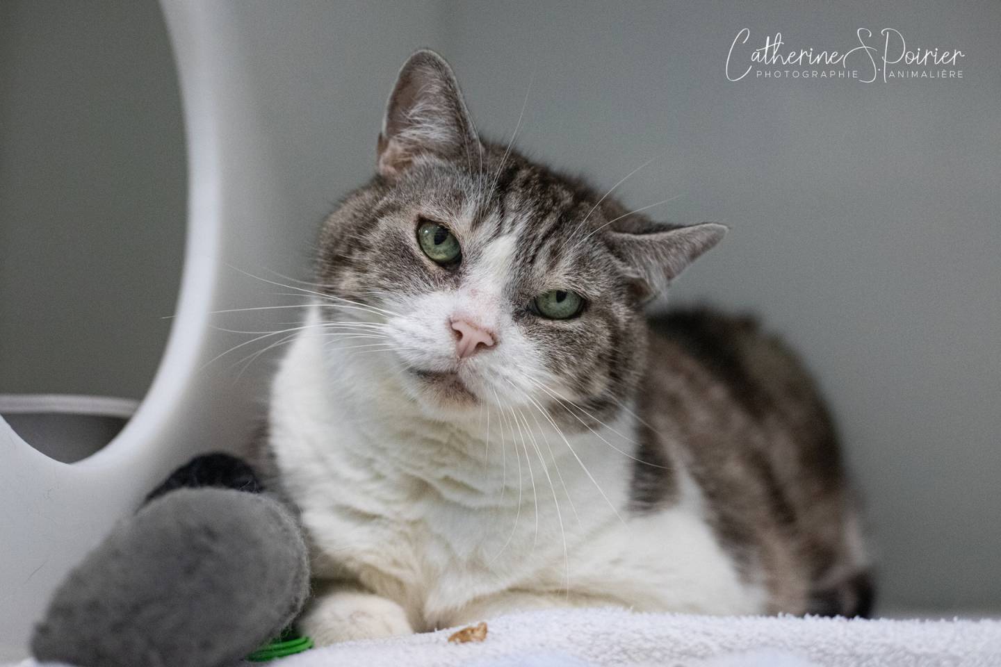 Winky, la vedette de la semaine