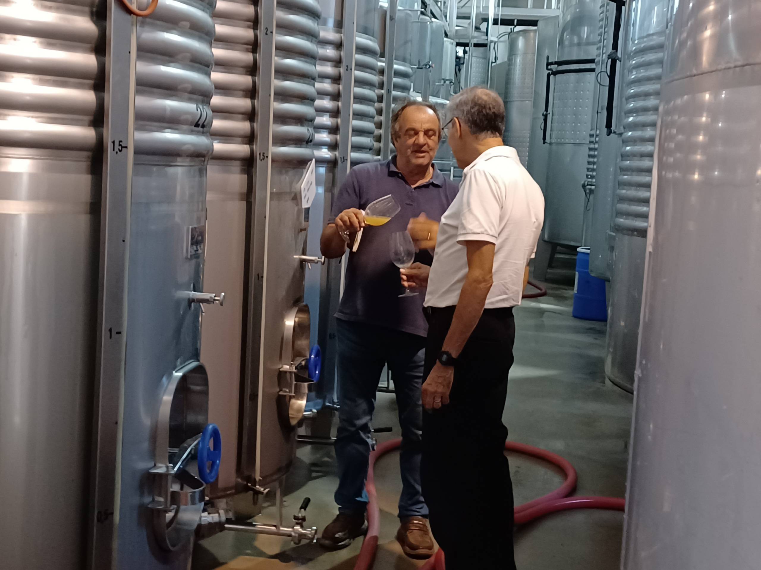 Chronique vin : des cépages moins connus