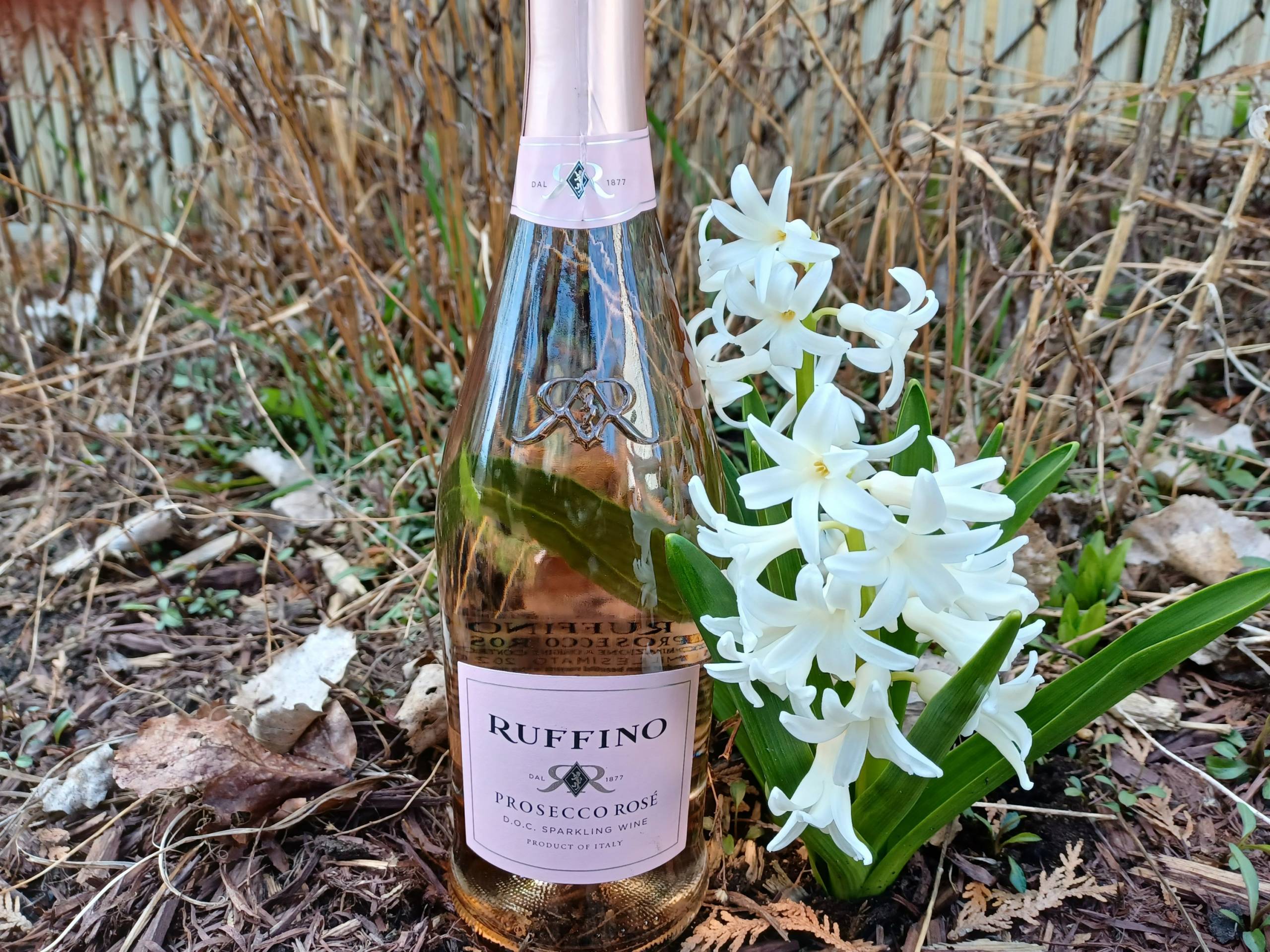 Chronique vin : au menu des Marmitons de Longueuil en décembre 2023