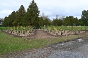 Développement durable: des villes s’allient à une université