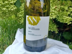 Chronique vin : des idées pour boire local