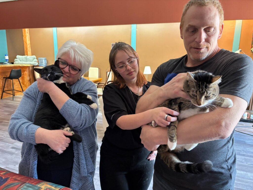 Beauharnois: ouverture d’un café à chats