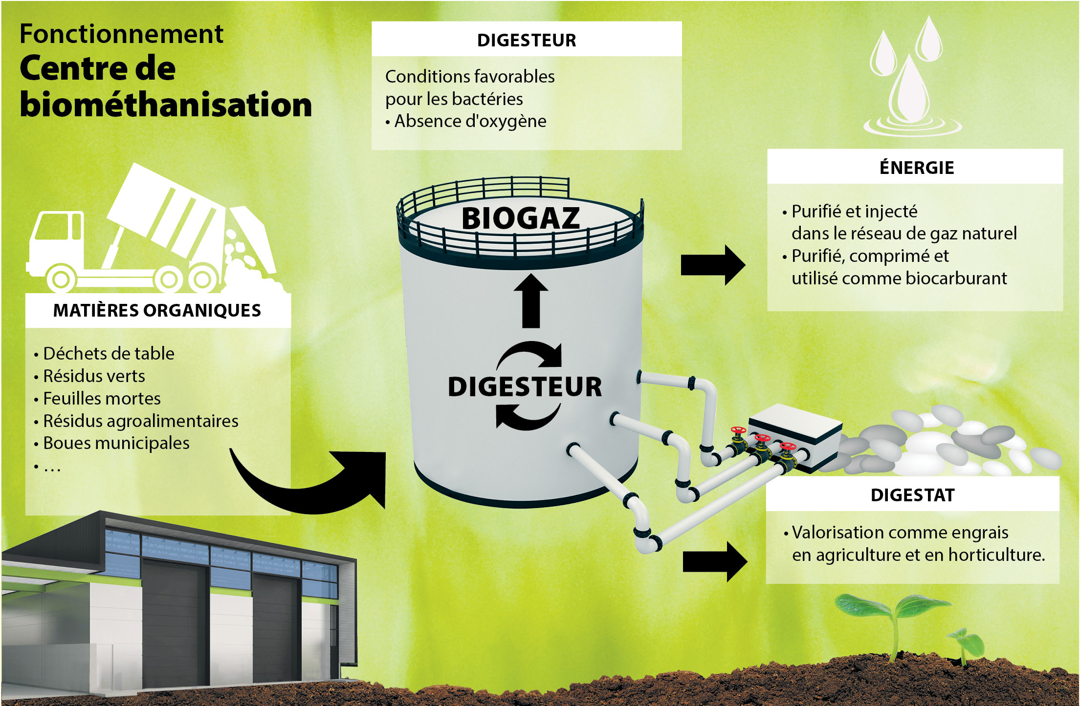 Les déchets de table seront transformés en énergie