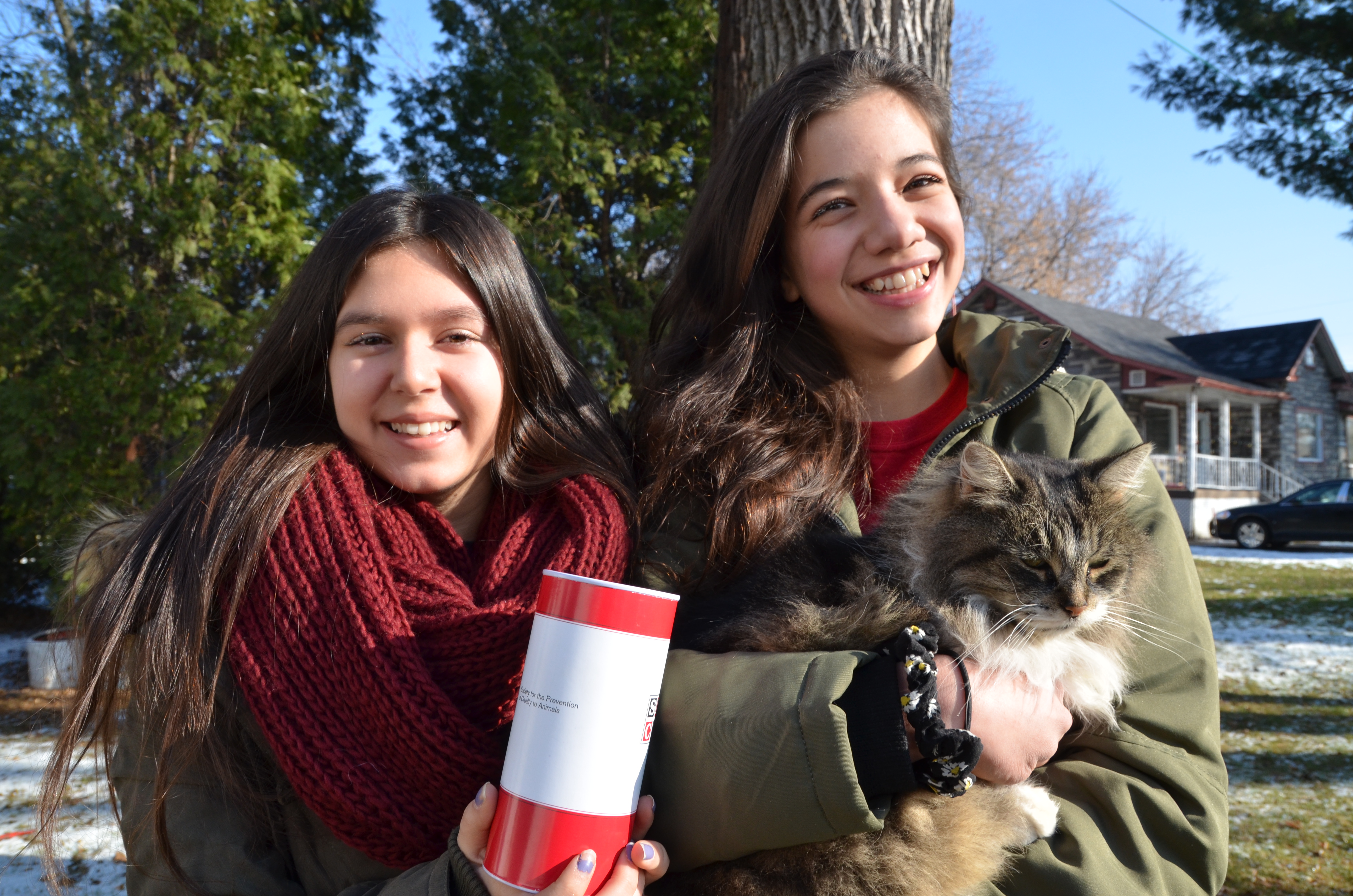 Un cadeau de Noël pour les chats et les chiens perdus