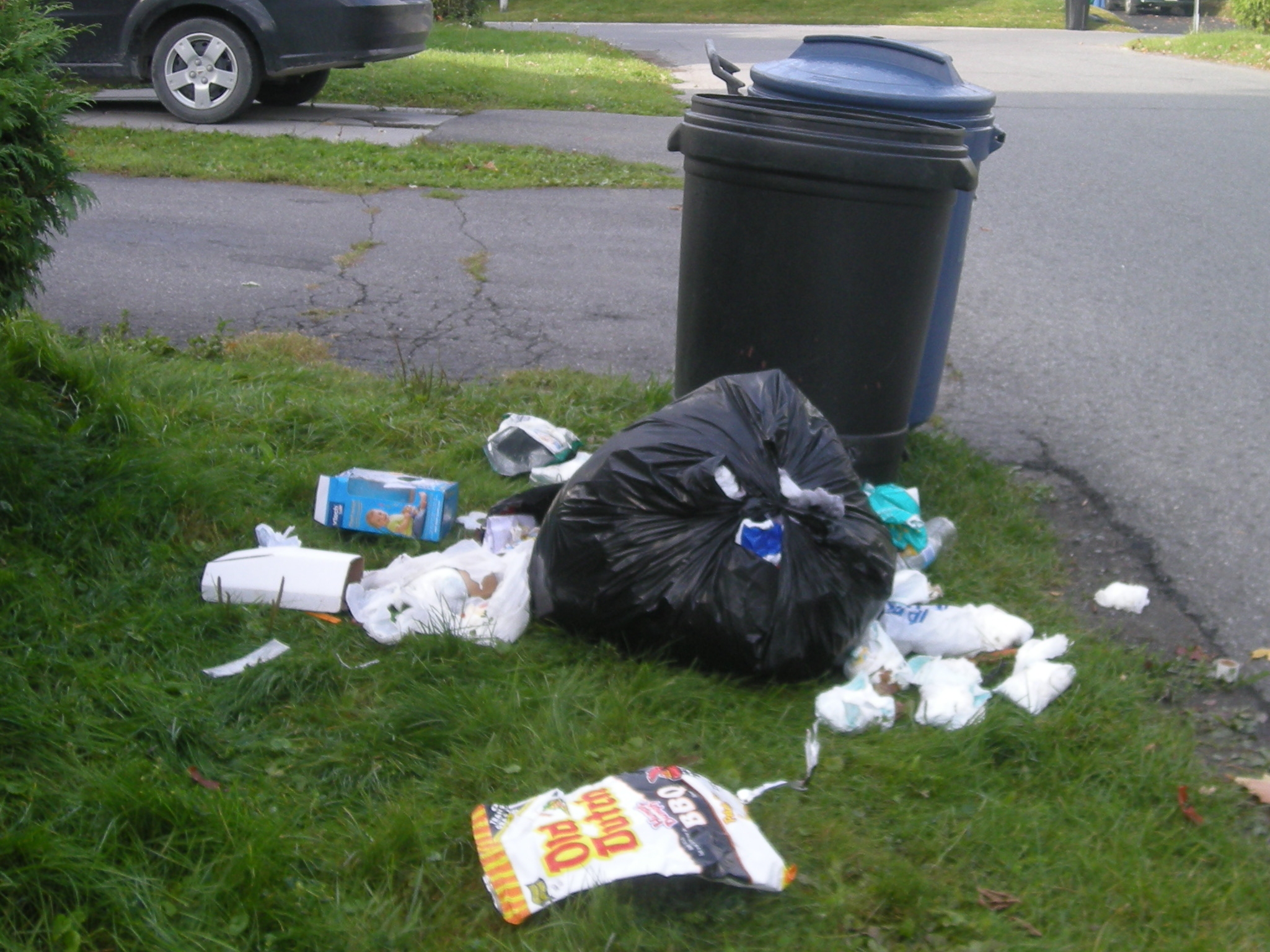 Collecte automatisée des vidanges en vue