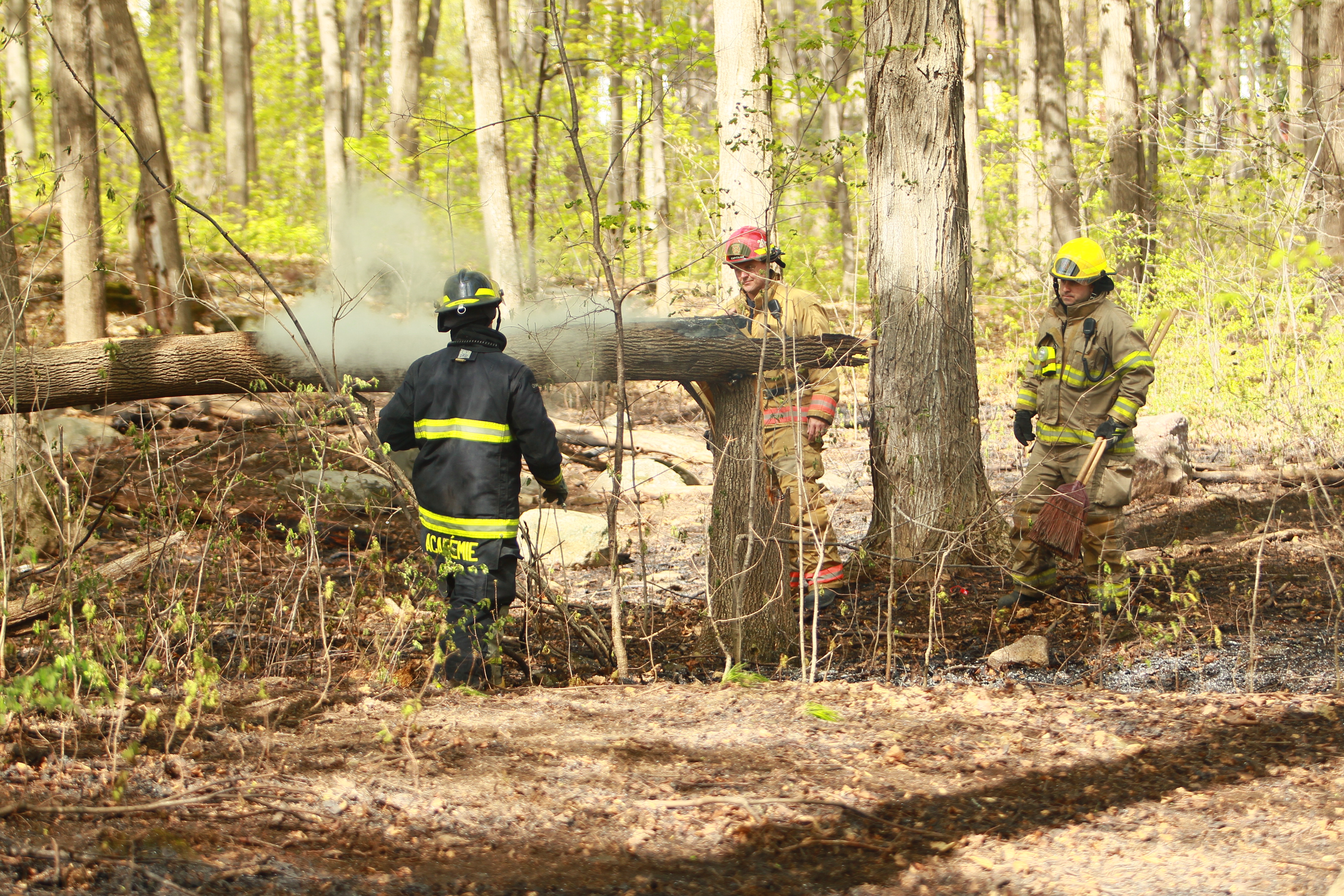 Brush fires due to negligence