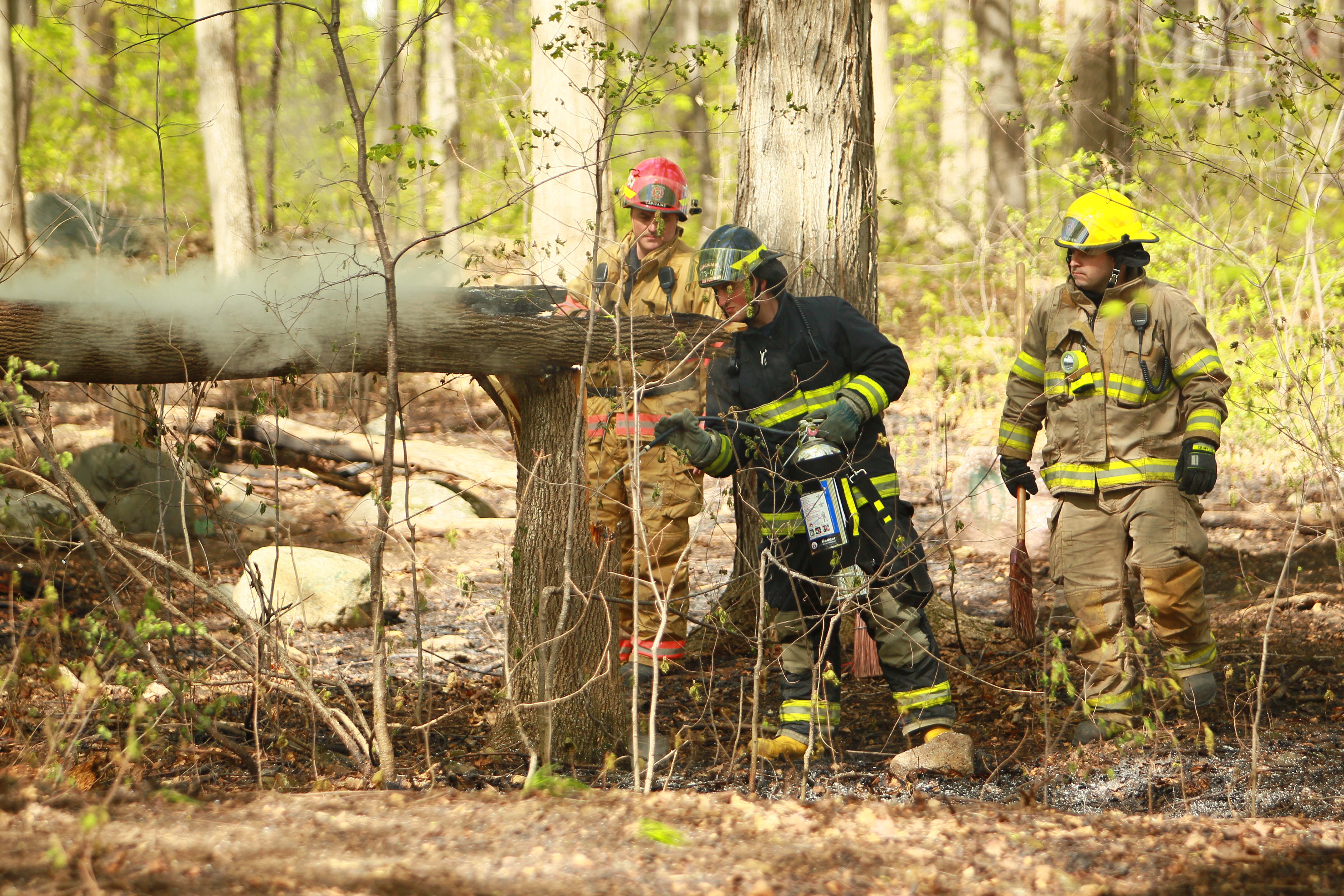 Des feux de broussailles dus à la négligence