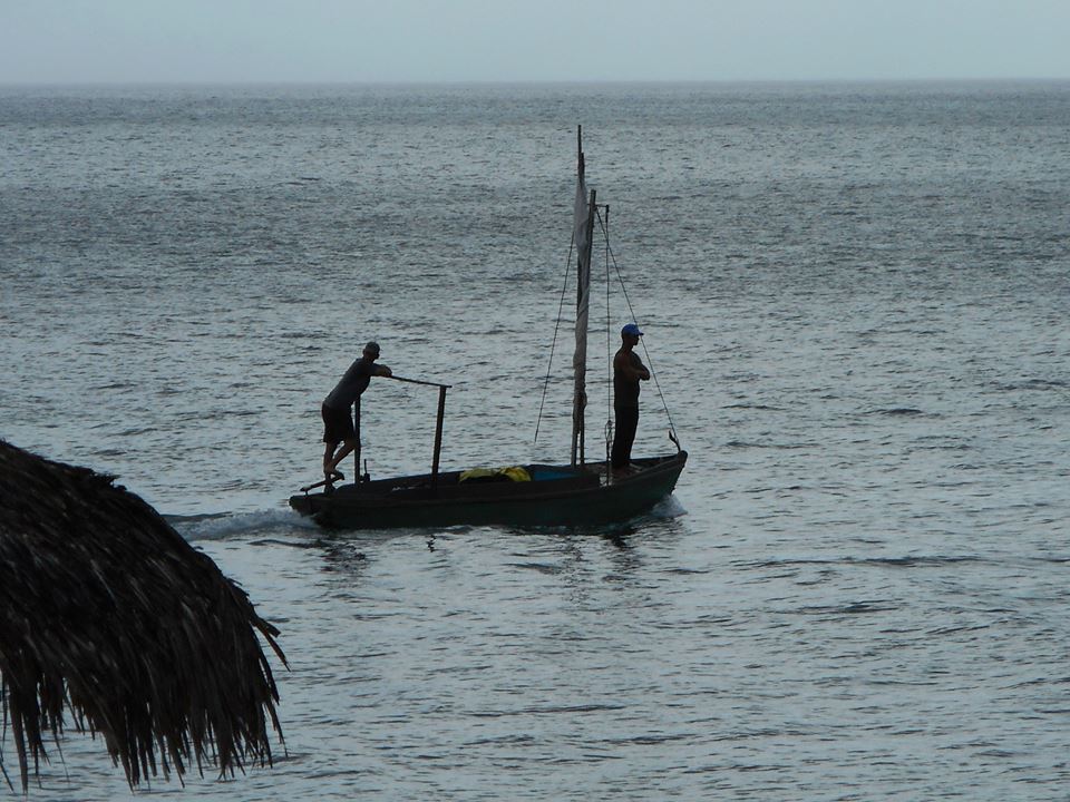 Un lundi hockey avec une pensée pour l’océan