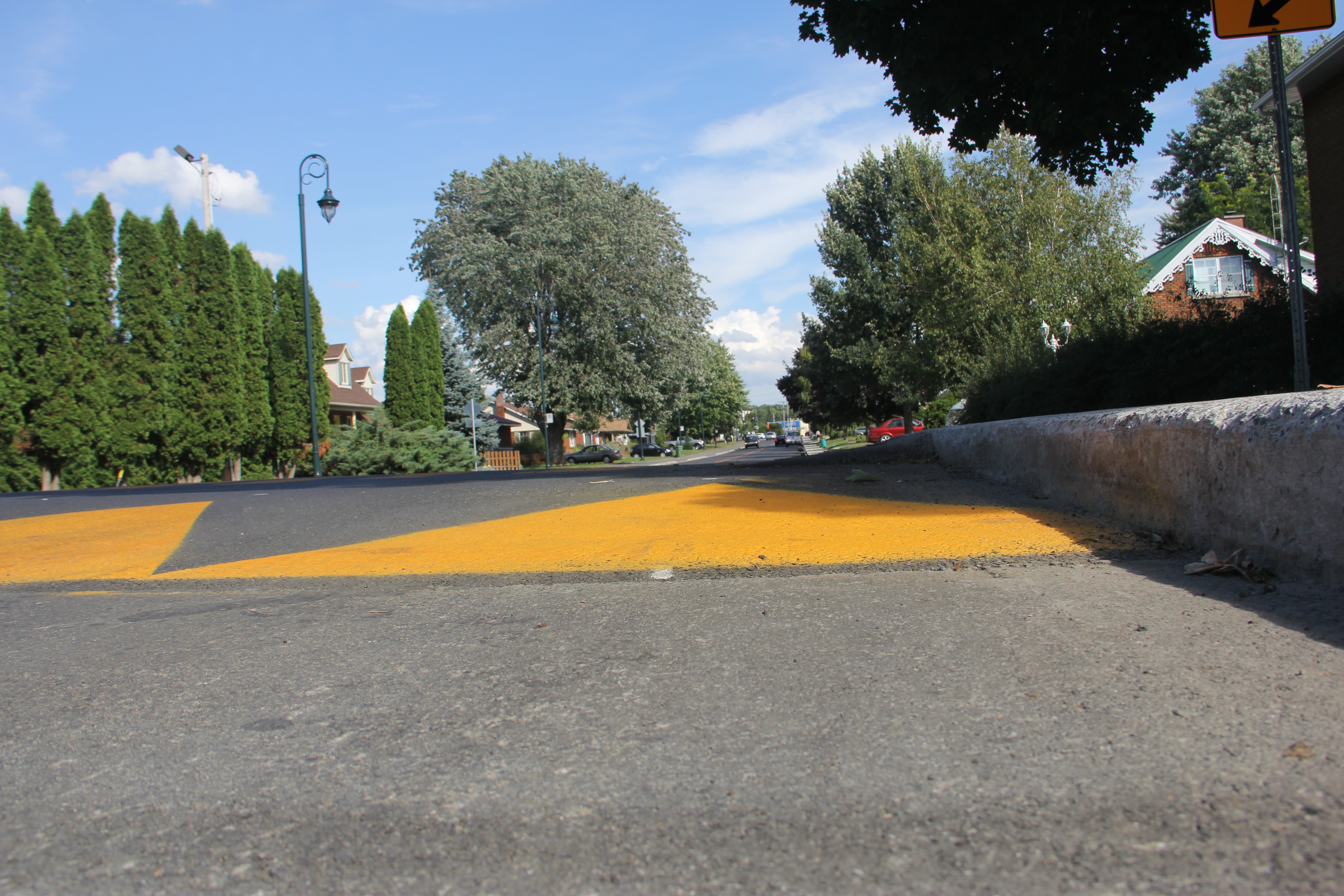 Dix dos d’âne à venir dans des rues de Mercier