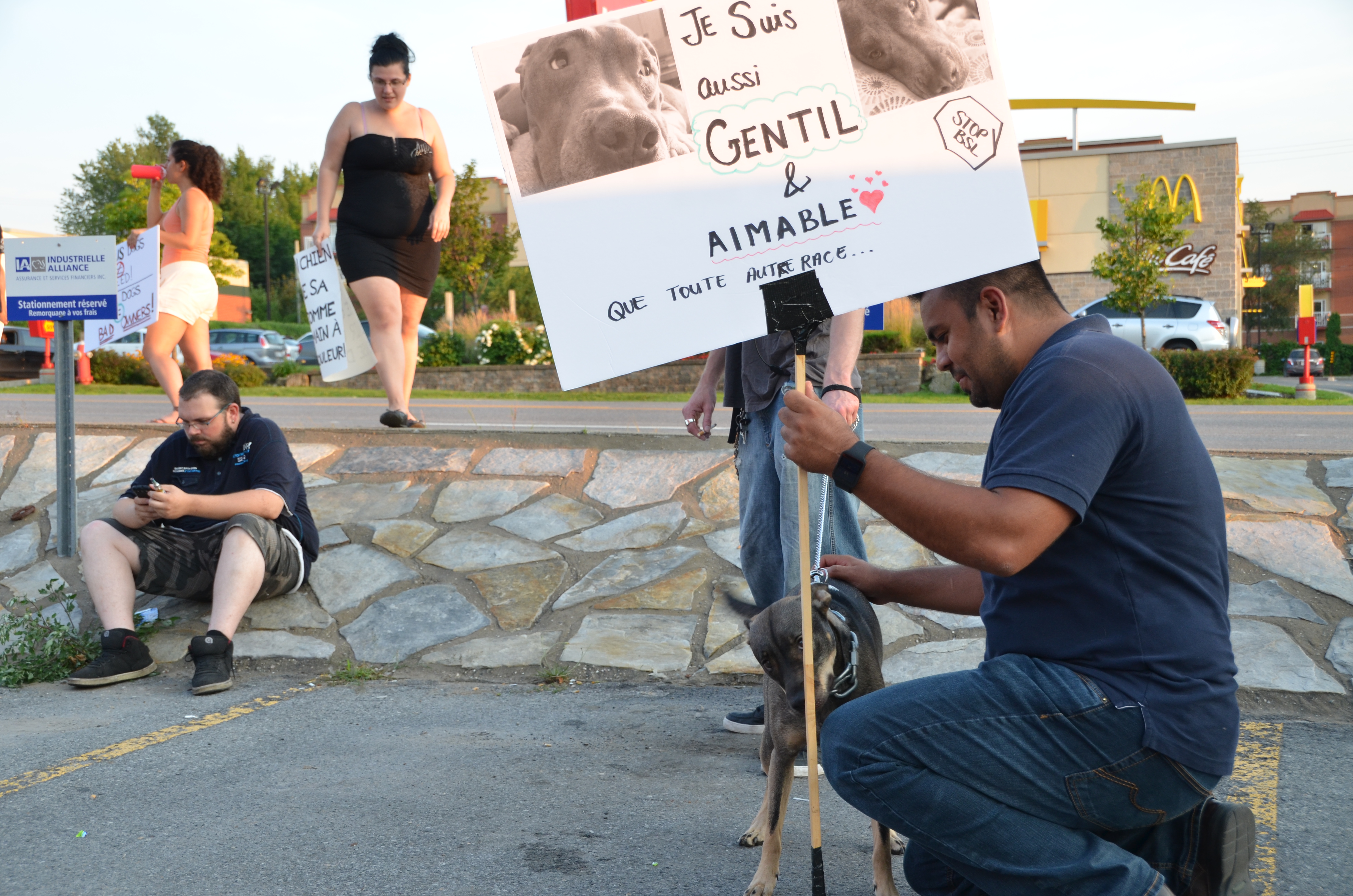L’assemblée perturbée par une manifestation propitbulls