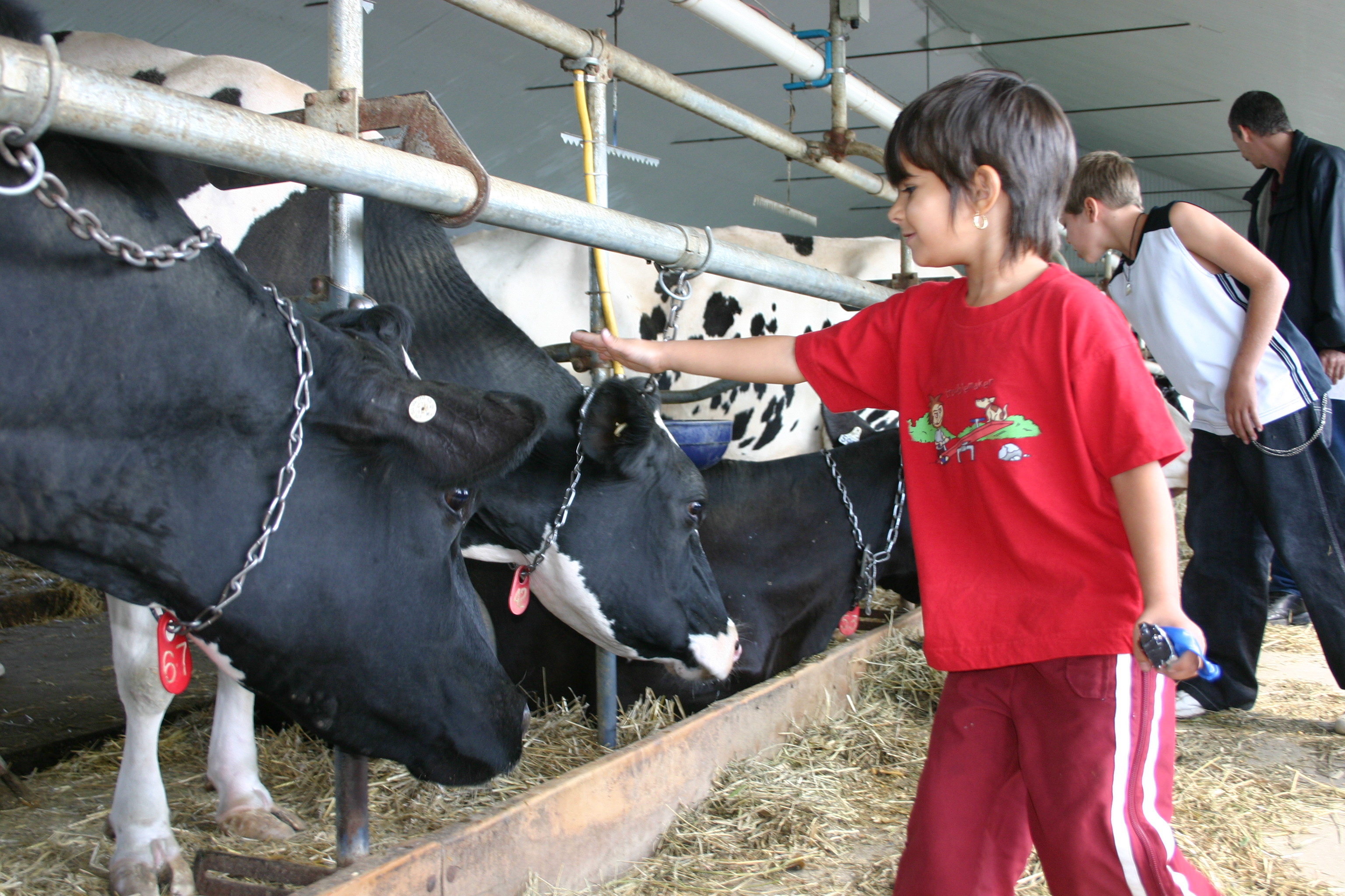 Image illustrant l'article: Les fermiers invitent la population