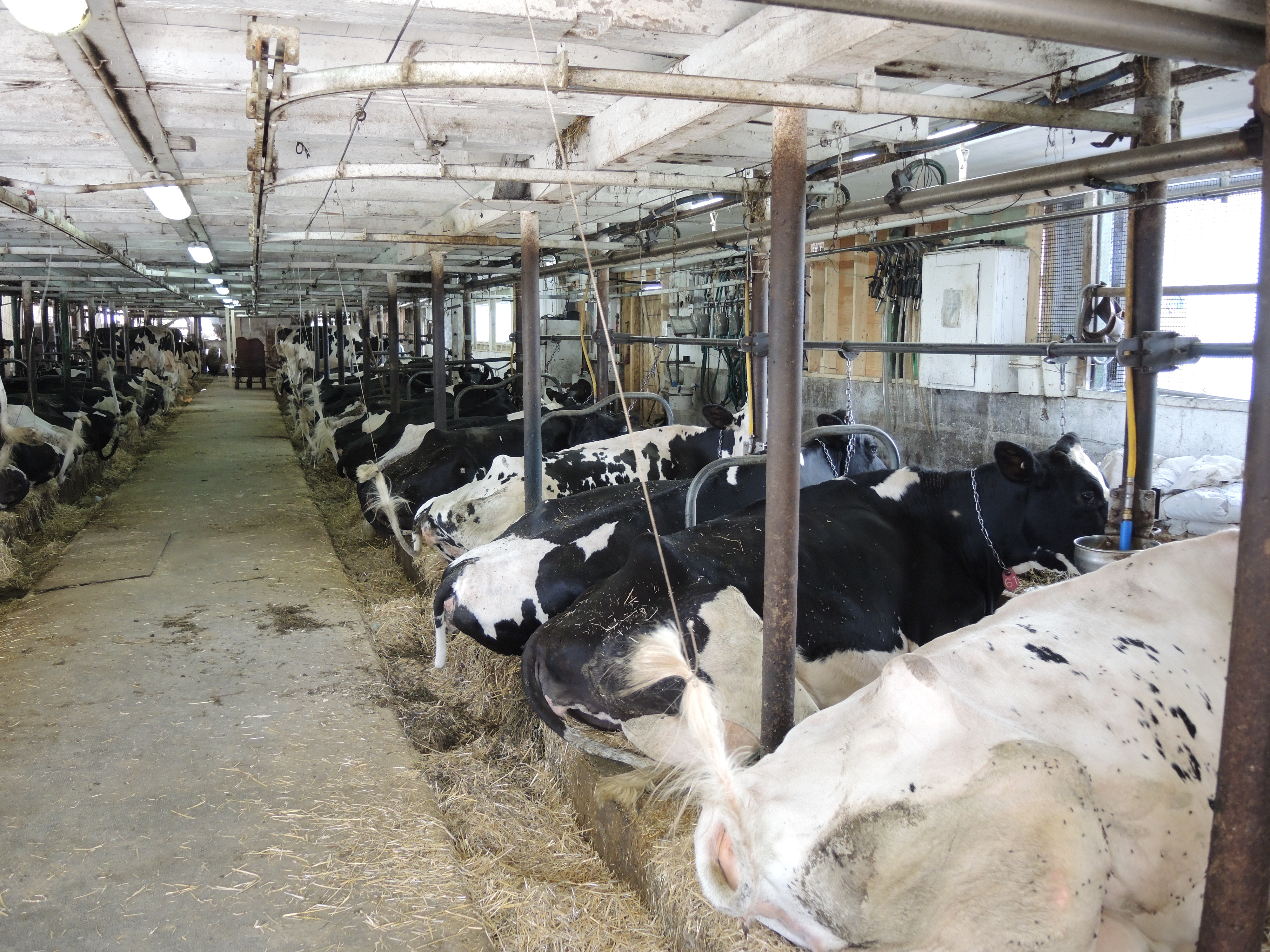 Les candidats et la gestion de l&rsquo;offre