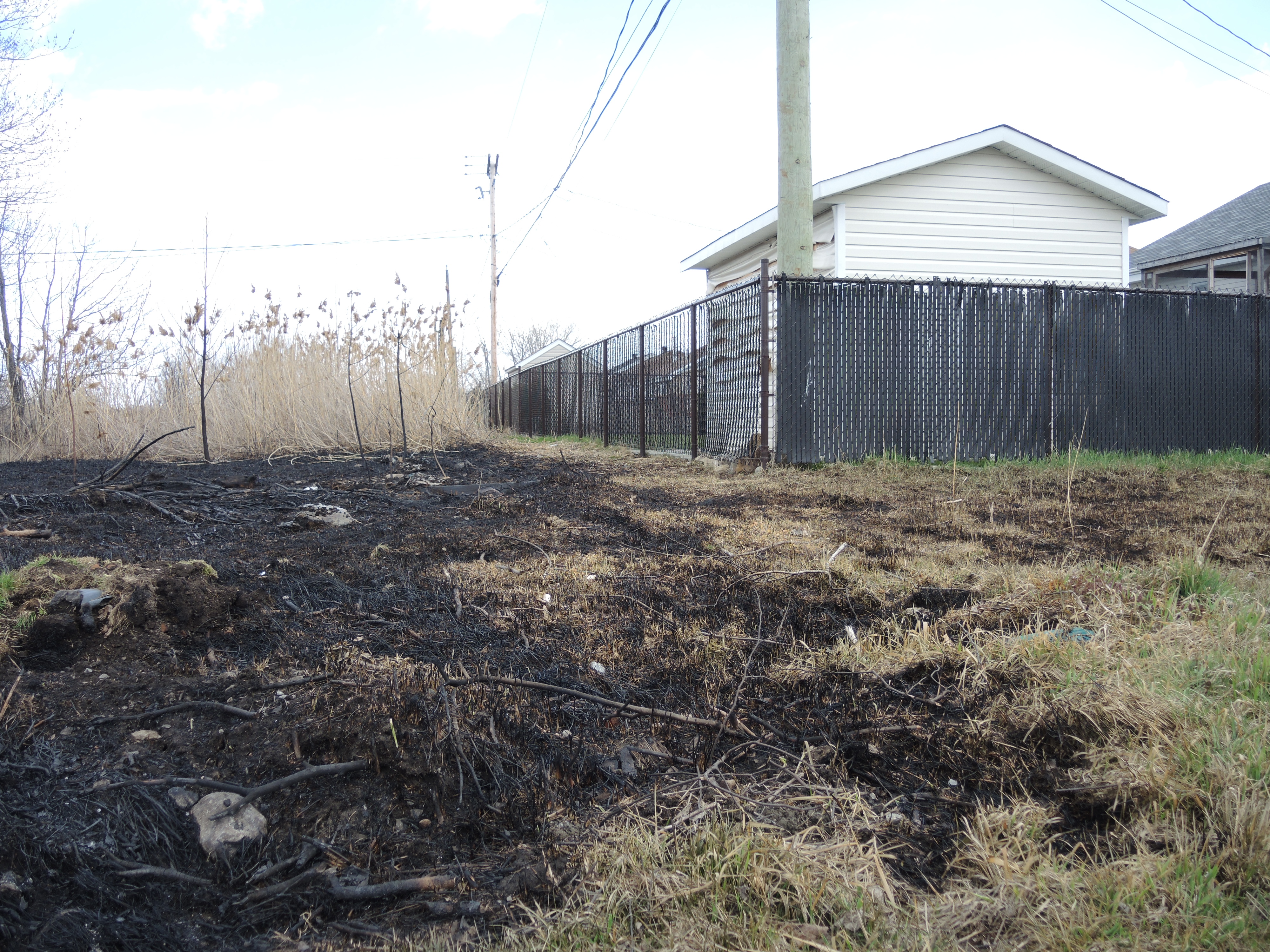 Les broussailles seront fauchées par mesure préventive à Châteauguay