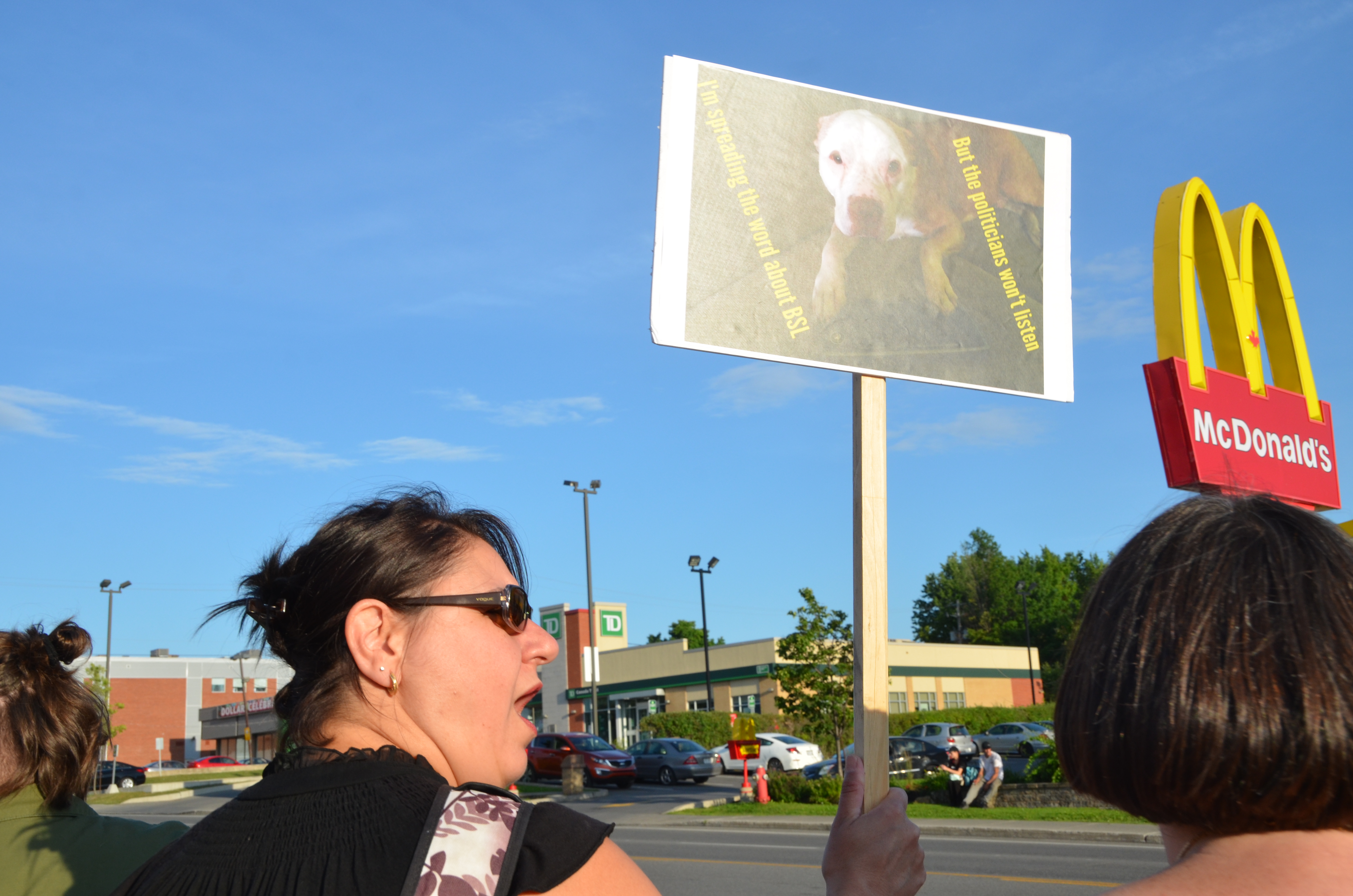 Image illustrant l'article: Beaucoup de bruit pour les chiens