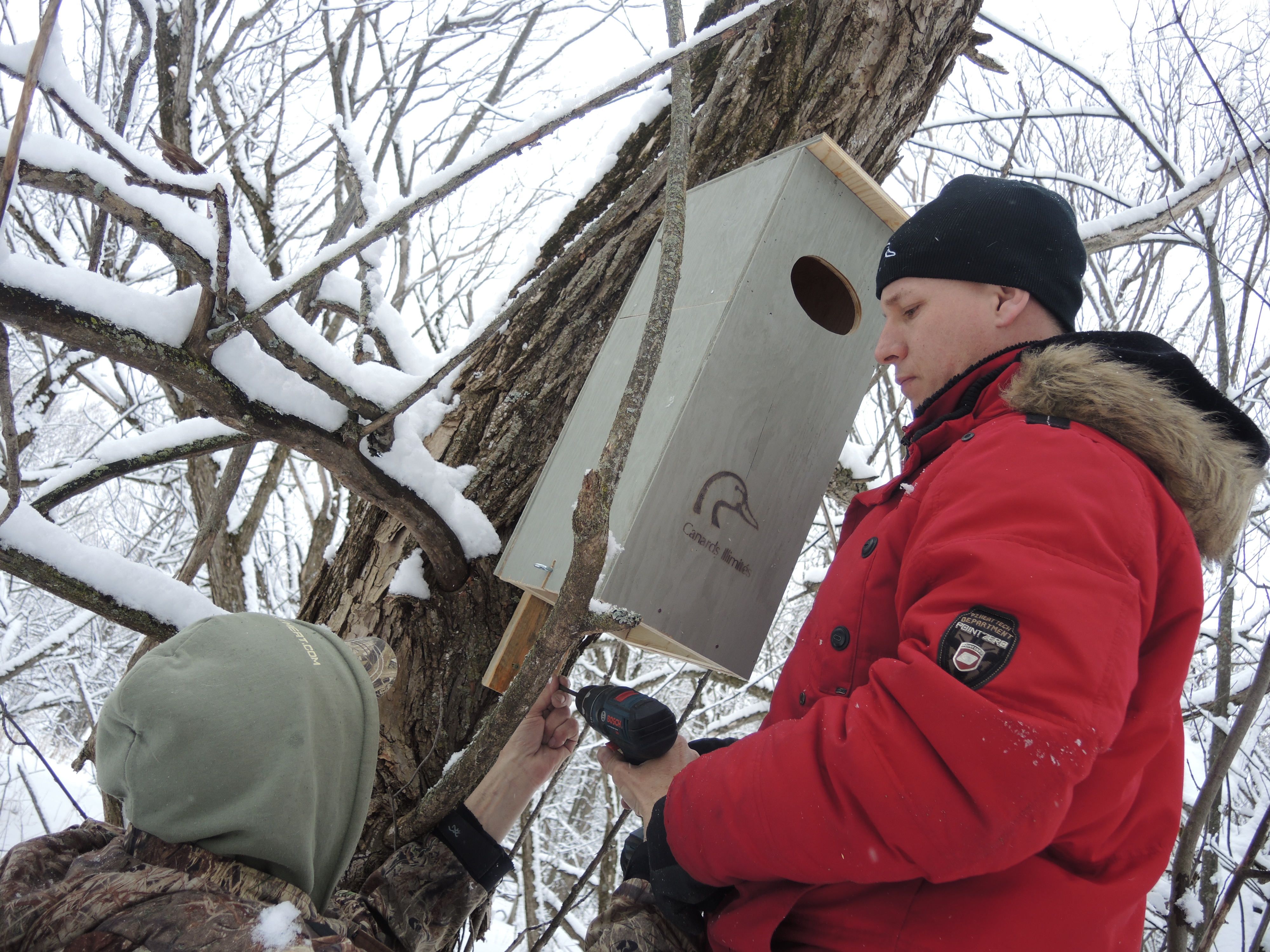 Image illustrant l'article: Nouveaux logements gratuits pour canards branchus à Châteauguay