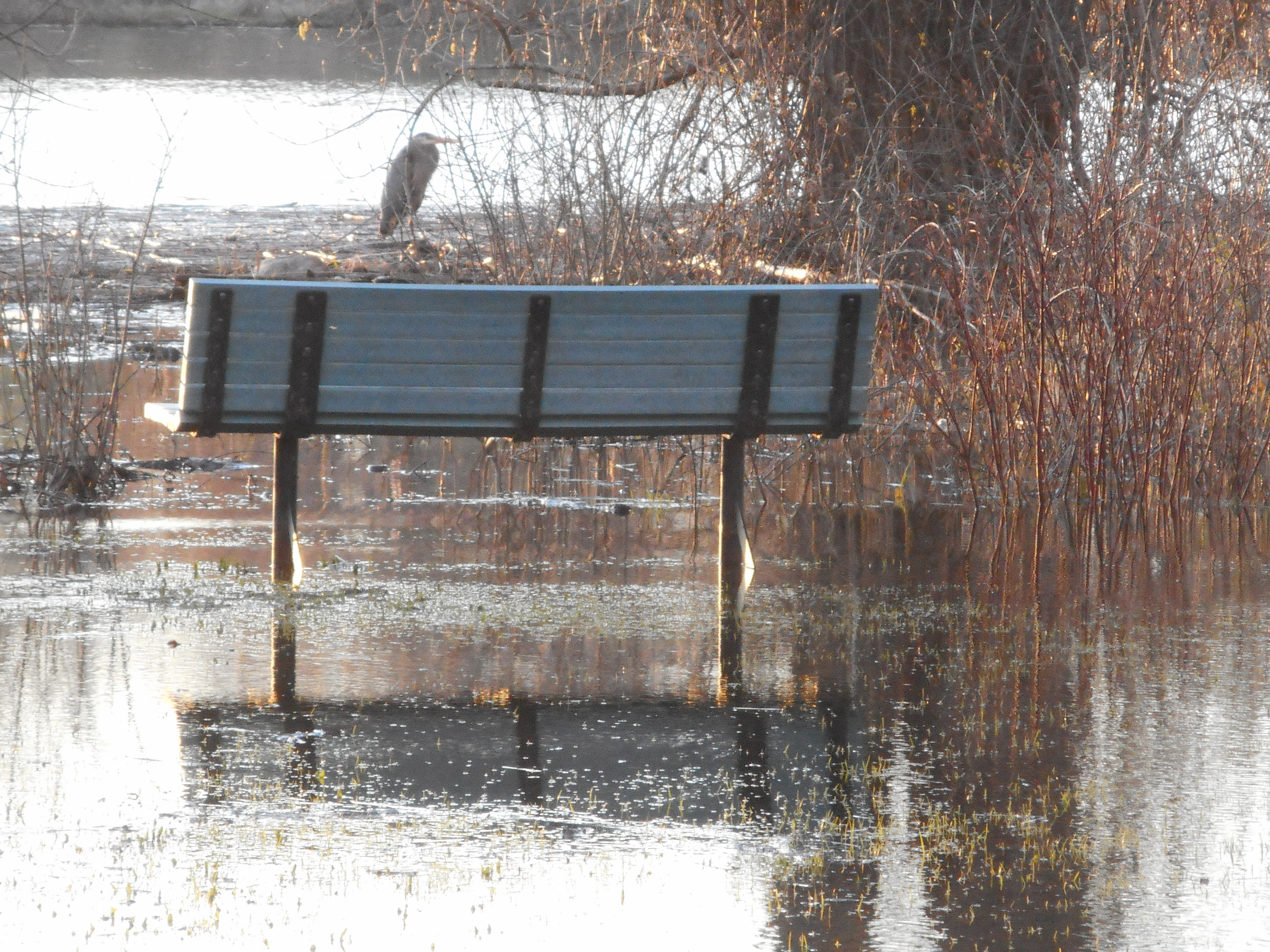 Parcs fermés à Châteauguay pour cause d&rsquo;inondation