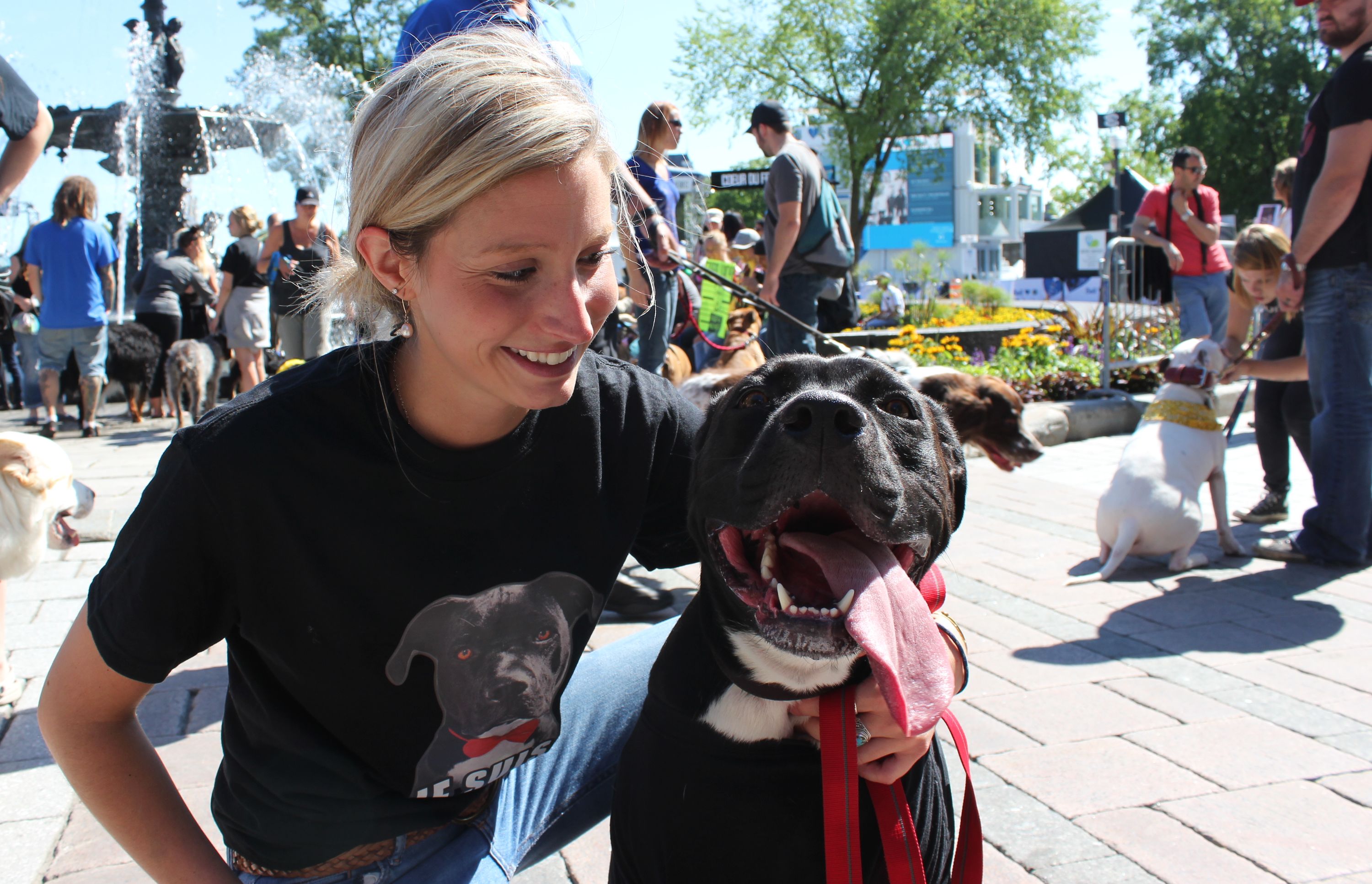 Châteauguay cible les animaux dangereux plutôt que les pitbulls