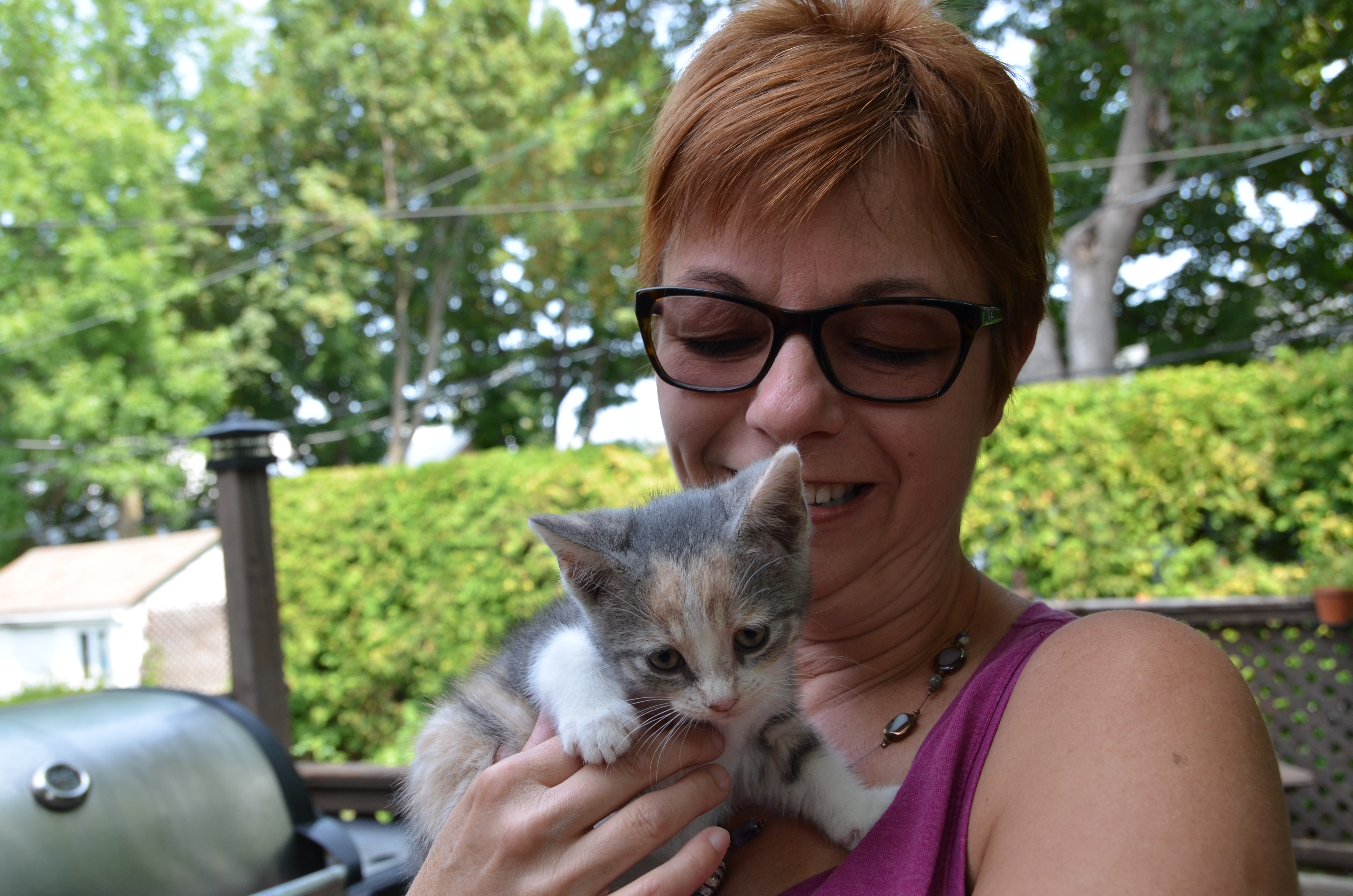 Programme de stérilisation des chats errants réclamé