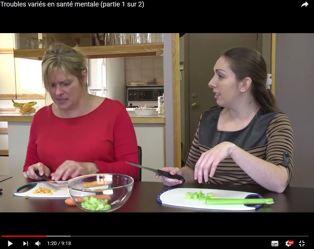 Les jeunes visés par une campagne de sensibilisation à la maladie mentale