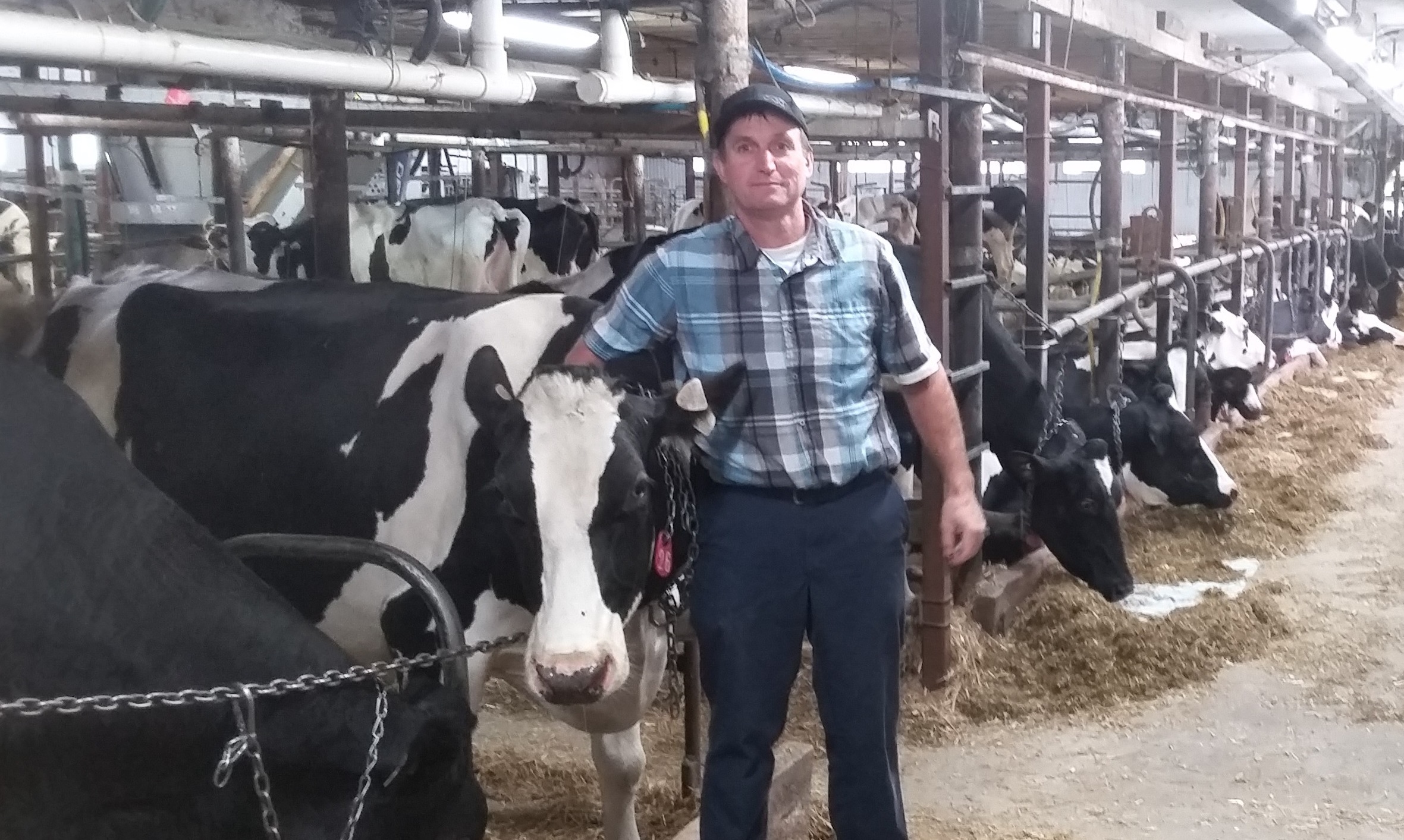 Croissance au ralenti en vue pour un producteur laitier de Sainte-Martine