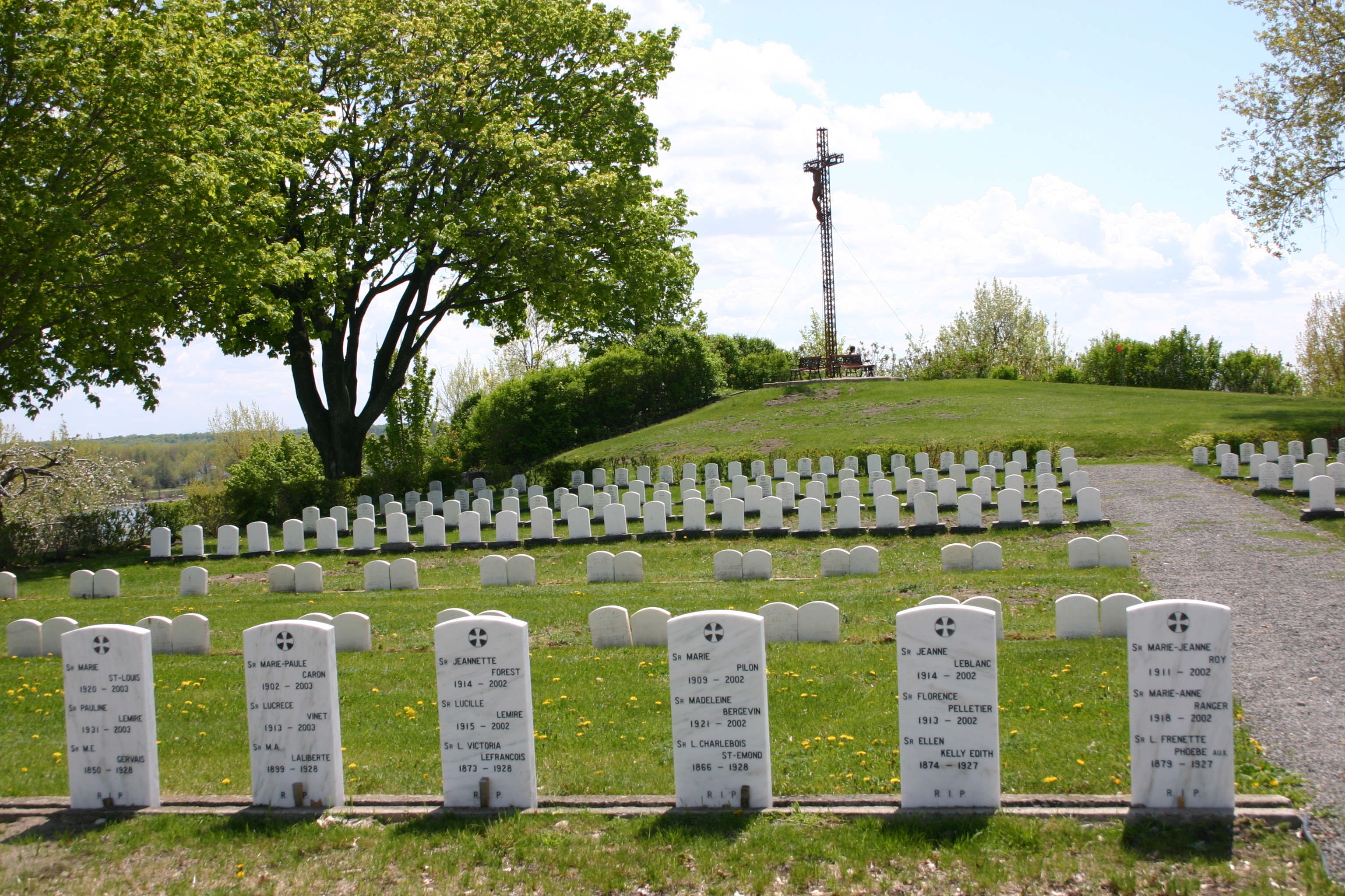 Réfection de la grotte de l’île Saint-Bernard : trop cher, selon trois conseillers