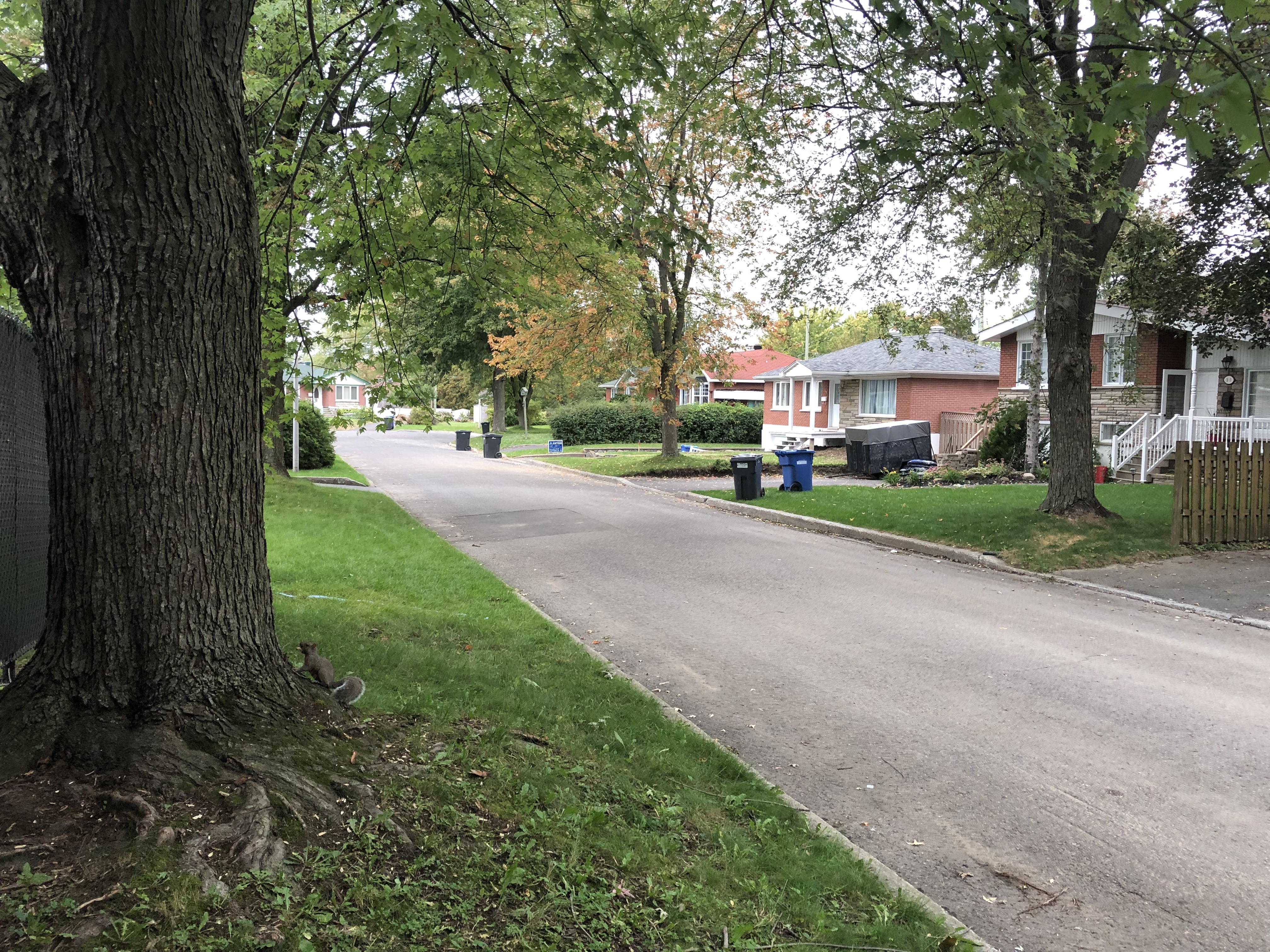 Tentative de meurtre à Châteauguay