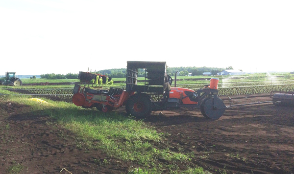 Une planteuse dangereuse a causé le décès d’un travailleur agricole