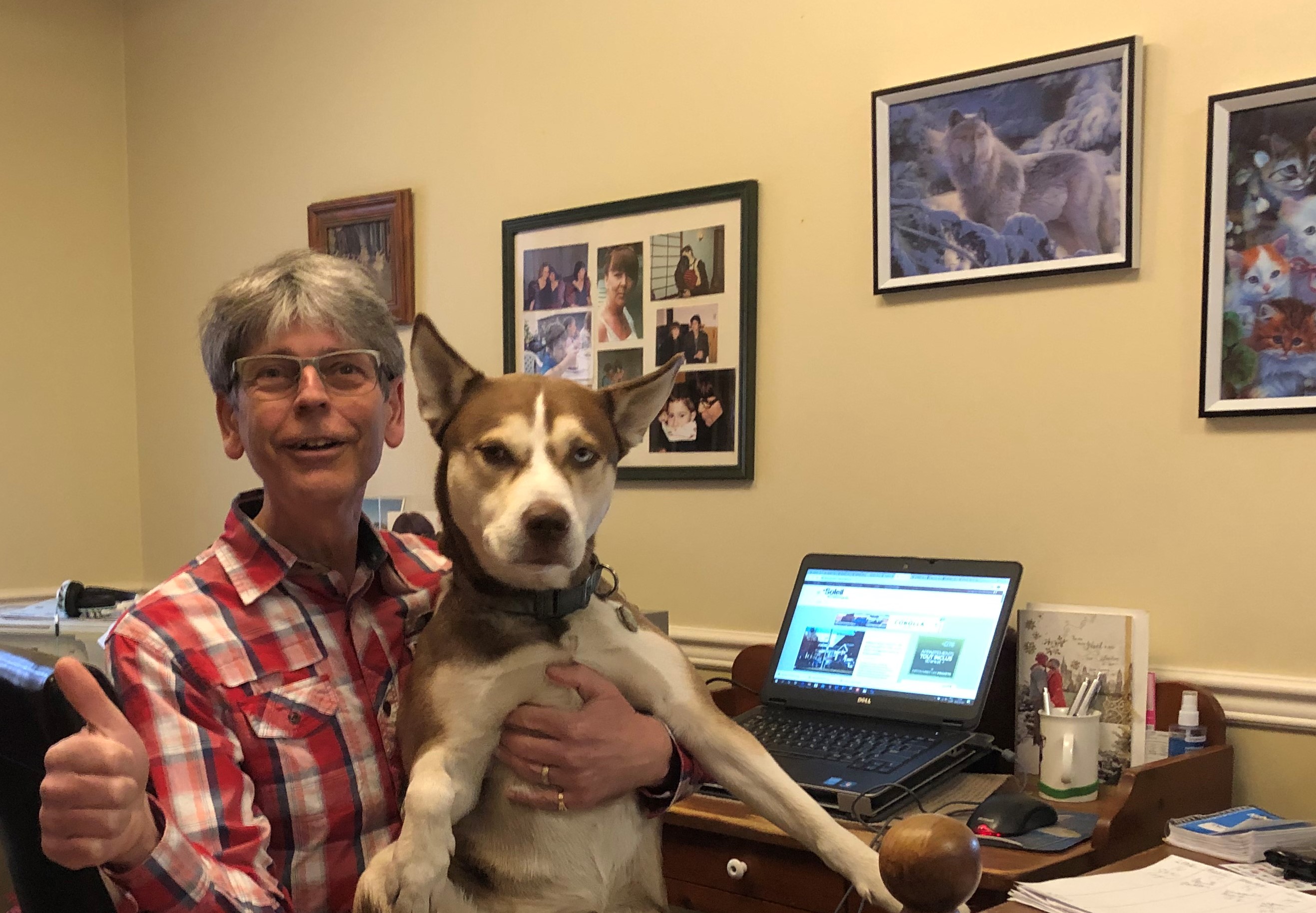 Un mot sur les oies du printemps