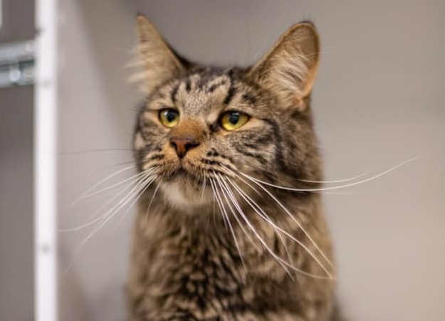 Bass, la vedette de la semaine