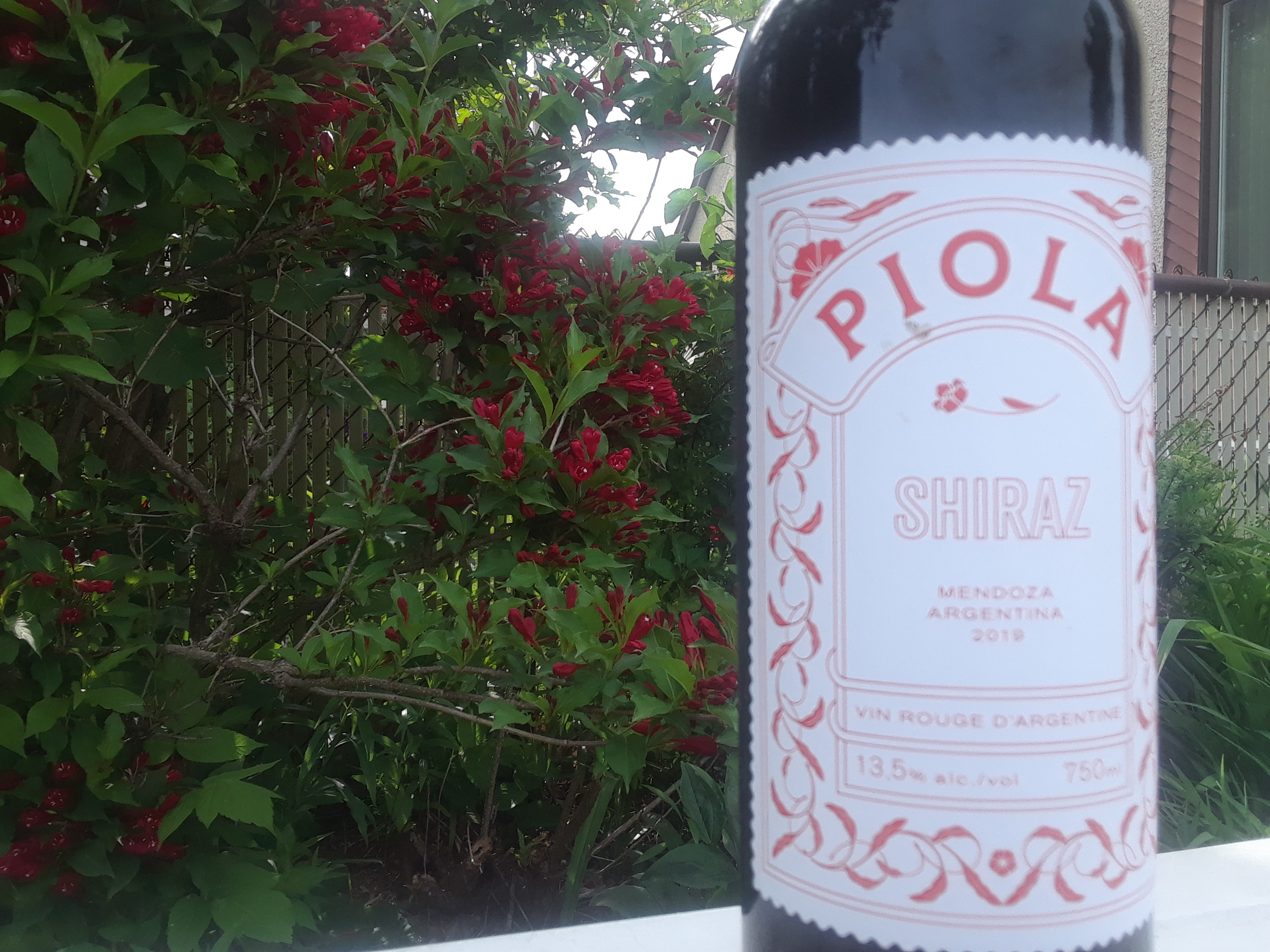 Des vins pour le BBQ