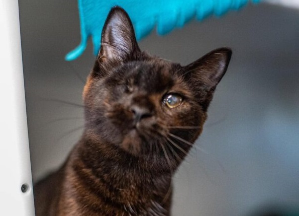 Fleur, la vedette de la semaine