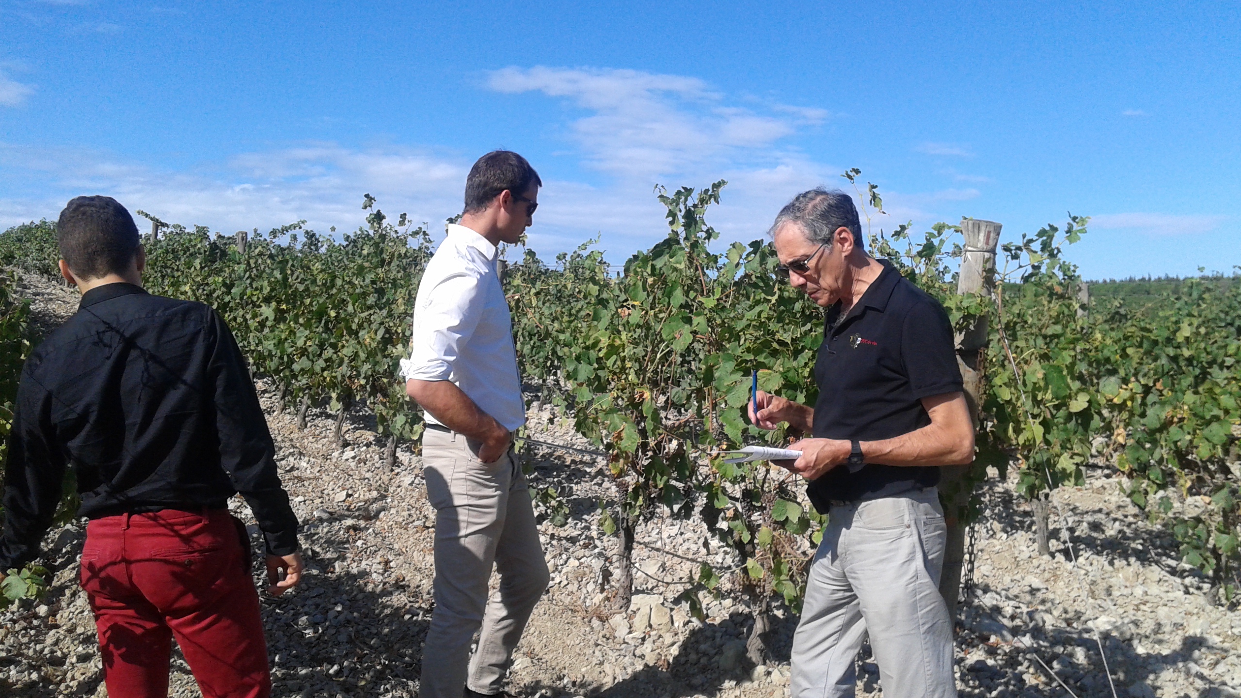 Avec le printemps, arrivent les rosés