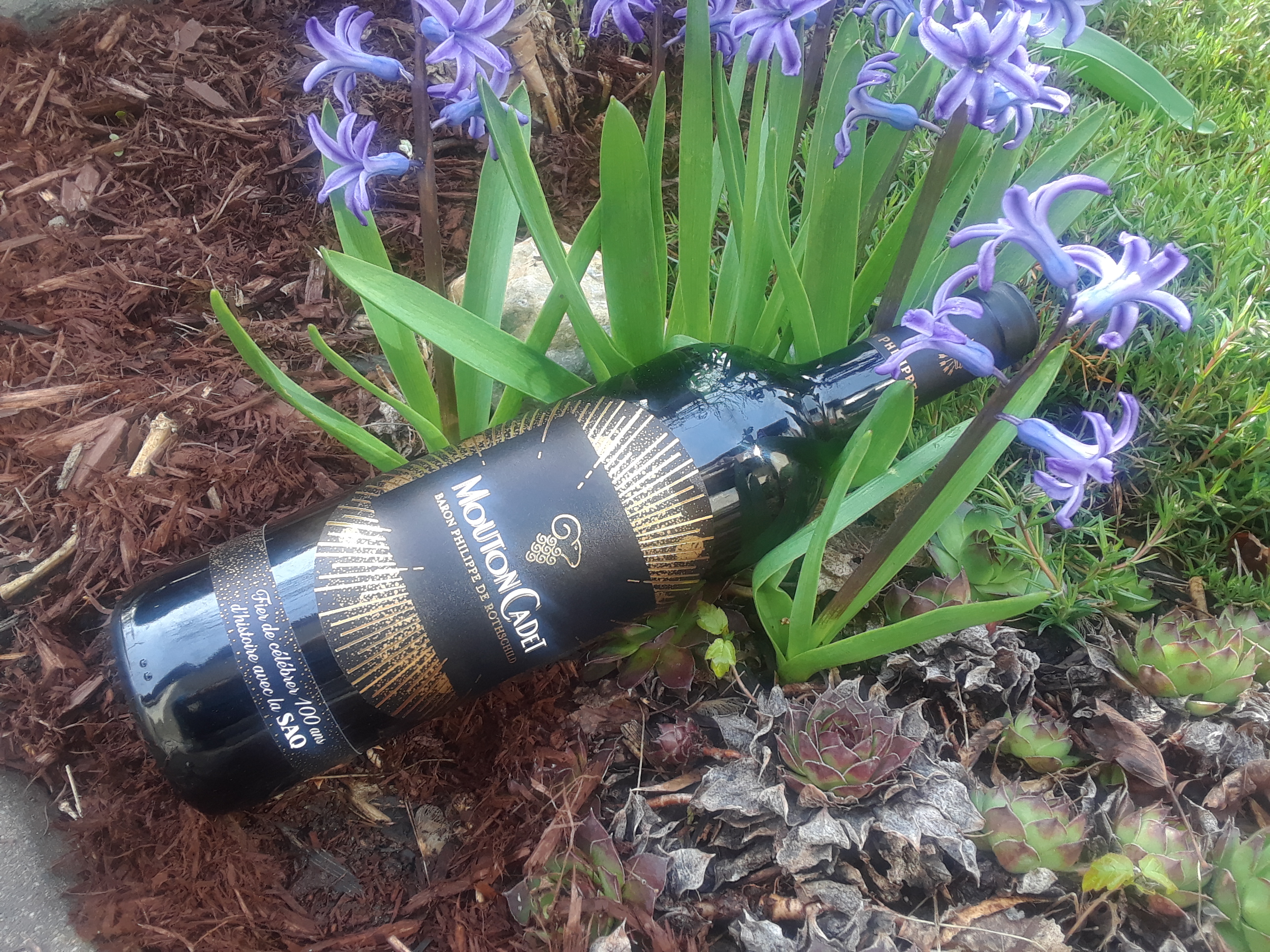 Les 100 ans de la SAQ