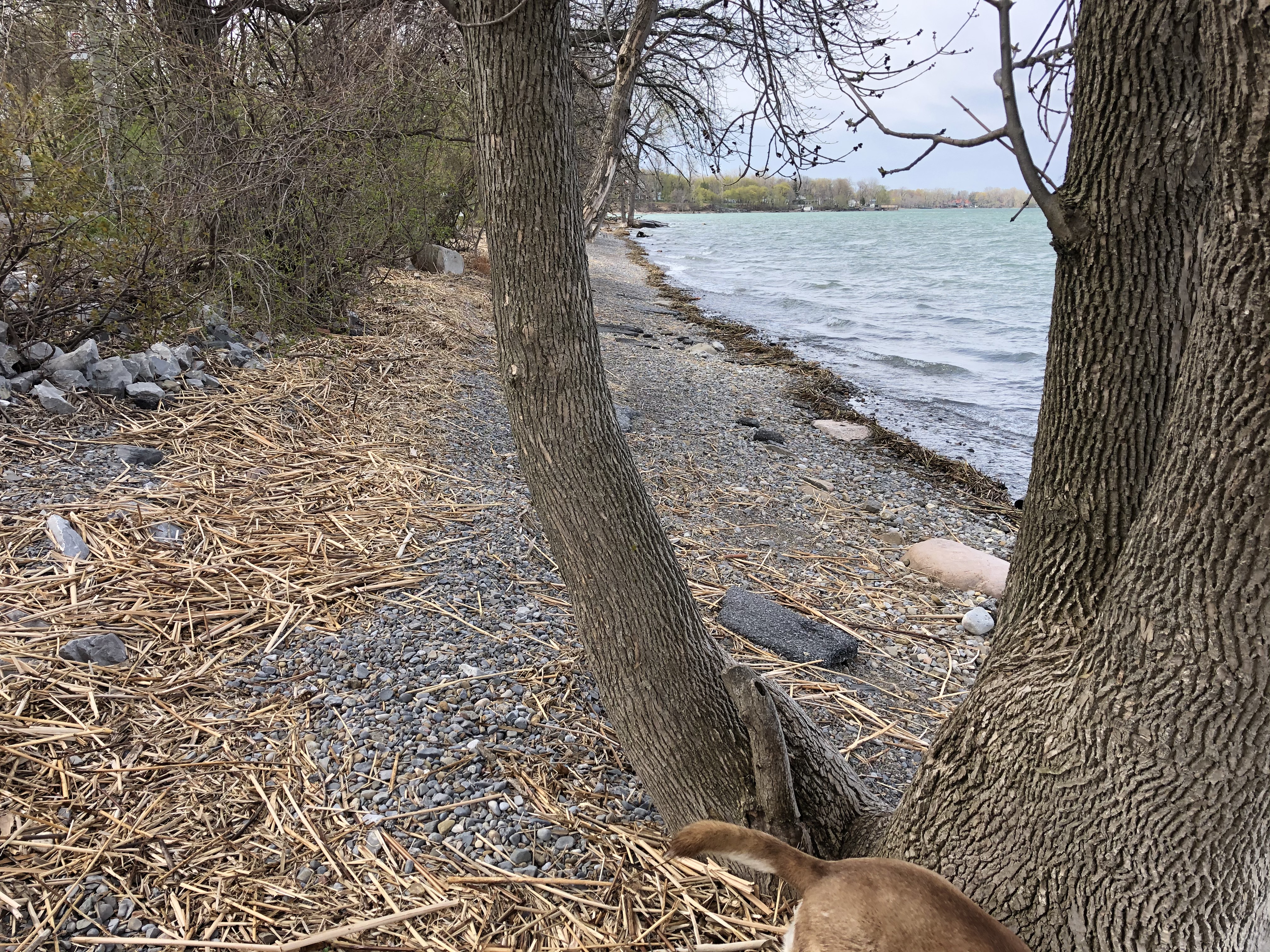 La Ville de Châteauguay surveille le niveau de l’eau