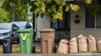 Résidus verts : il faut utiliser le bac brun en premier