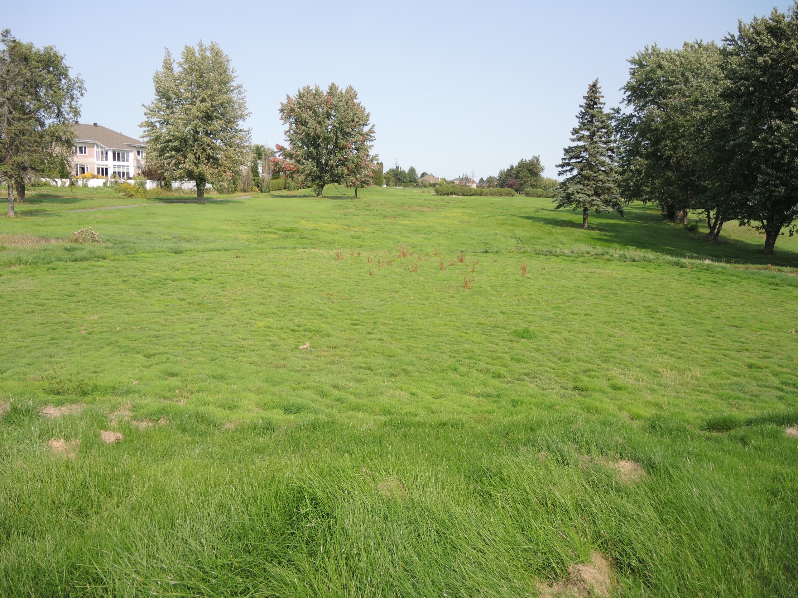 Louez votre VR grâce à ce site web