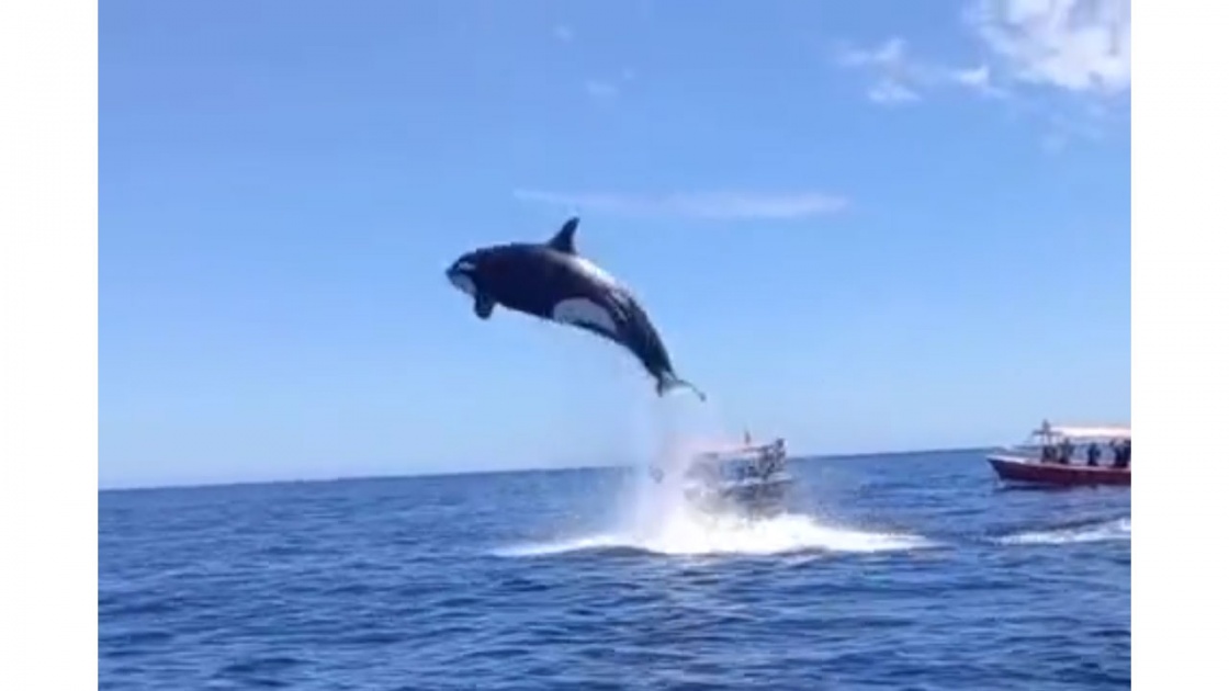 Le couvre-feu sera levé à compter du 28 mai