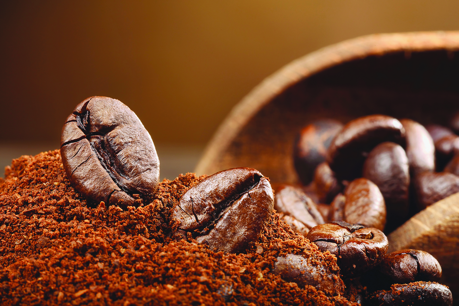 Aujourd'hui 23 mai, c&rsquo;est la Journ&eacute;e mondiale de la tortue