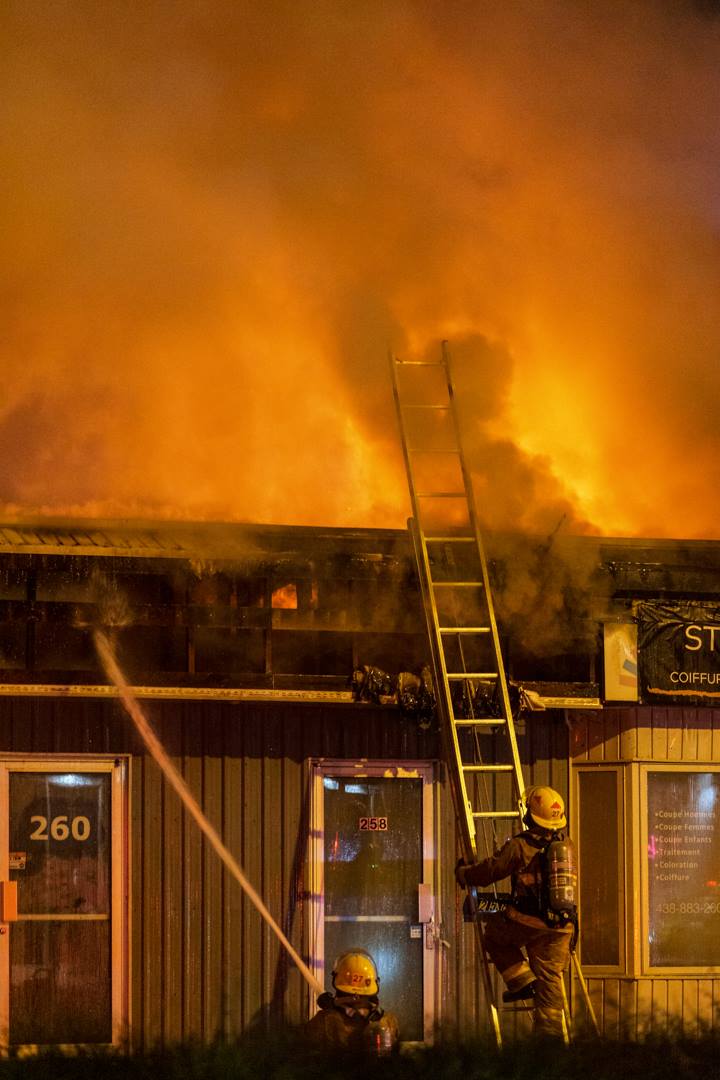 Liberté de choisir lance la campagne info-cannabis