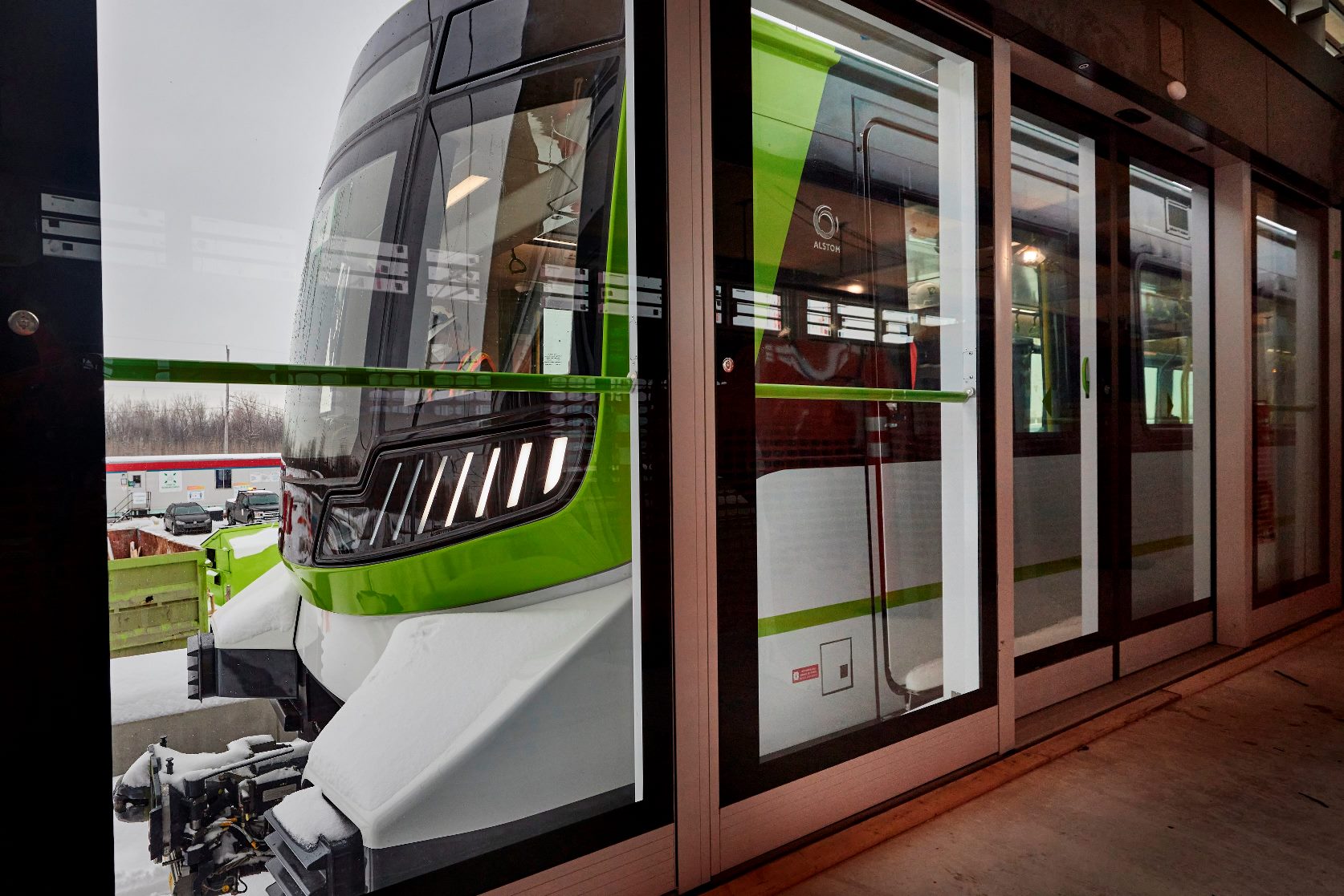 Comment entretenir les tomates de votre jardin au niveau de la taille, engrais et arrosage