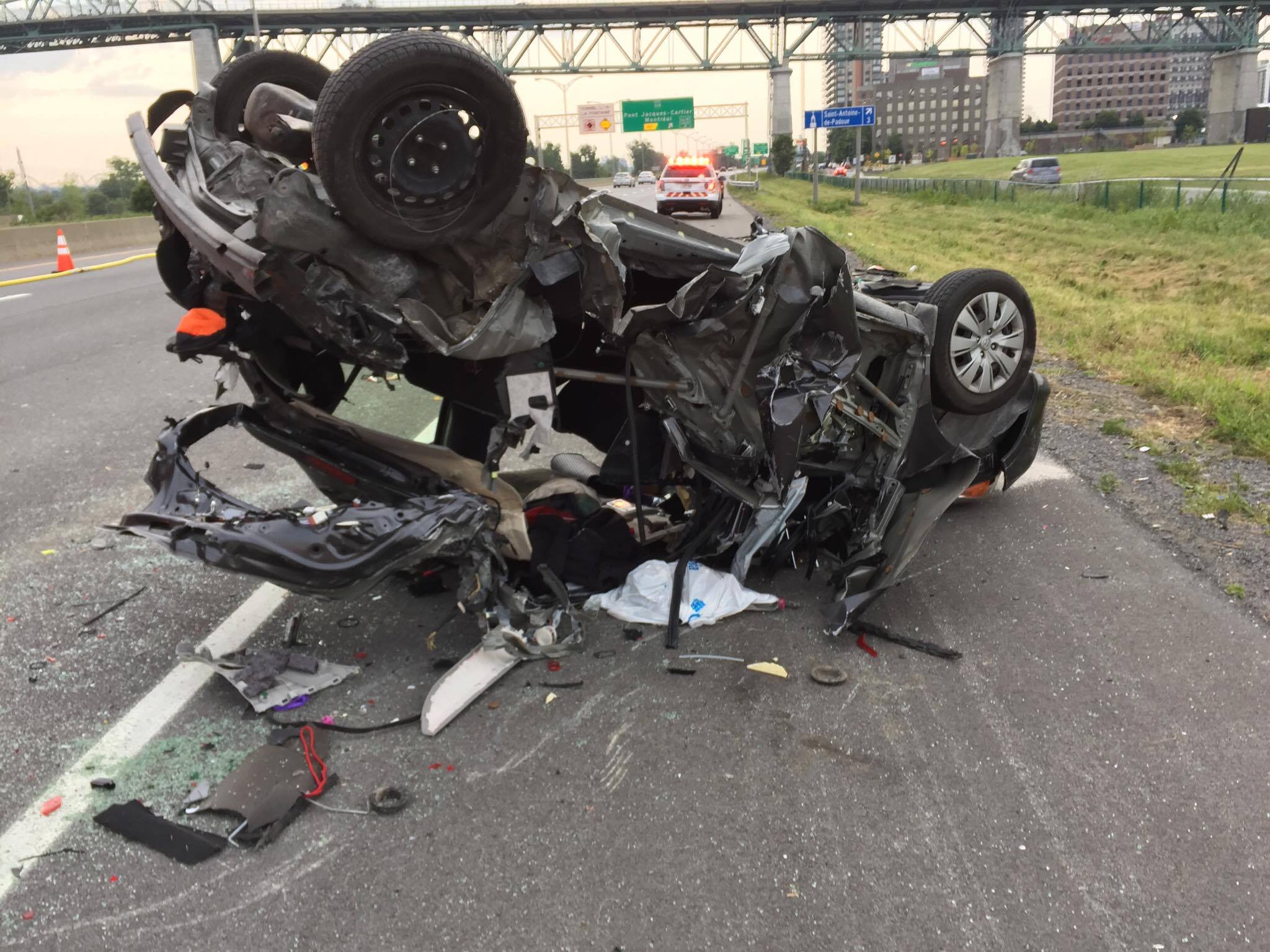 Ce chien ne veut rien savoir de la neige!