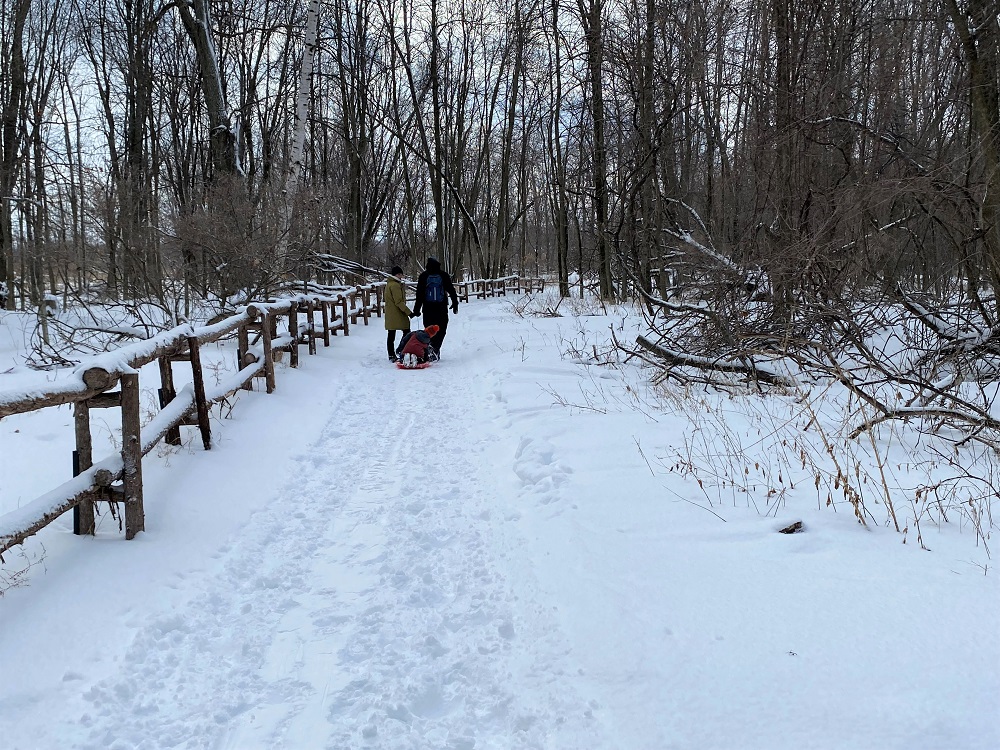 Votre iPhone est perdu ou volé? Apple refusera de vous le réparer si vous le retrouvez