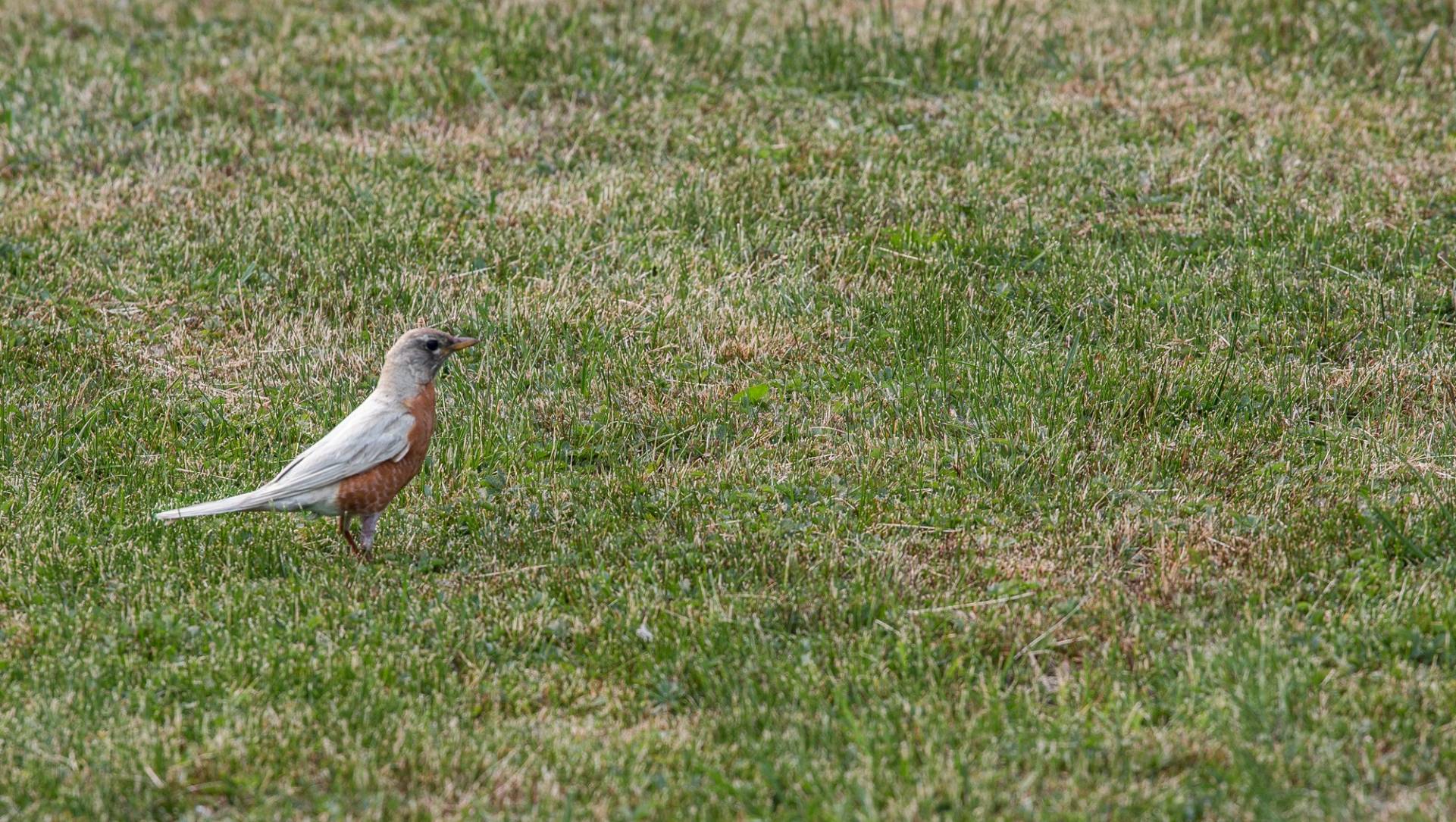 Donner du pourboire à l&rsquo;hôtel via un code QR, c&rsquo;est maintenant possible
